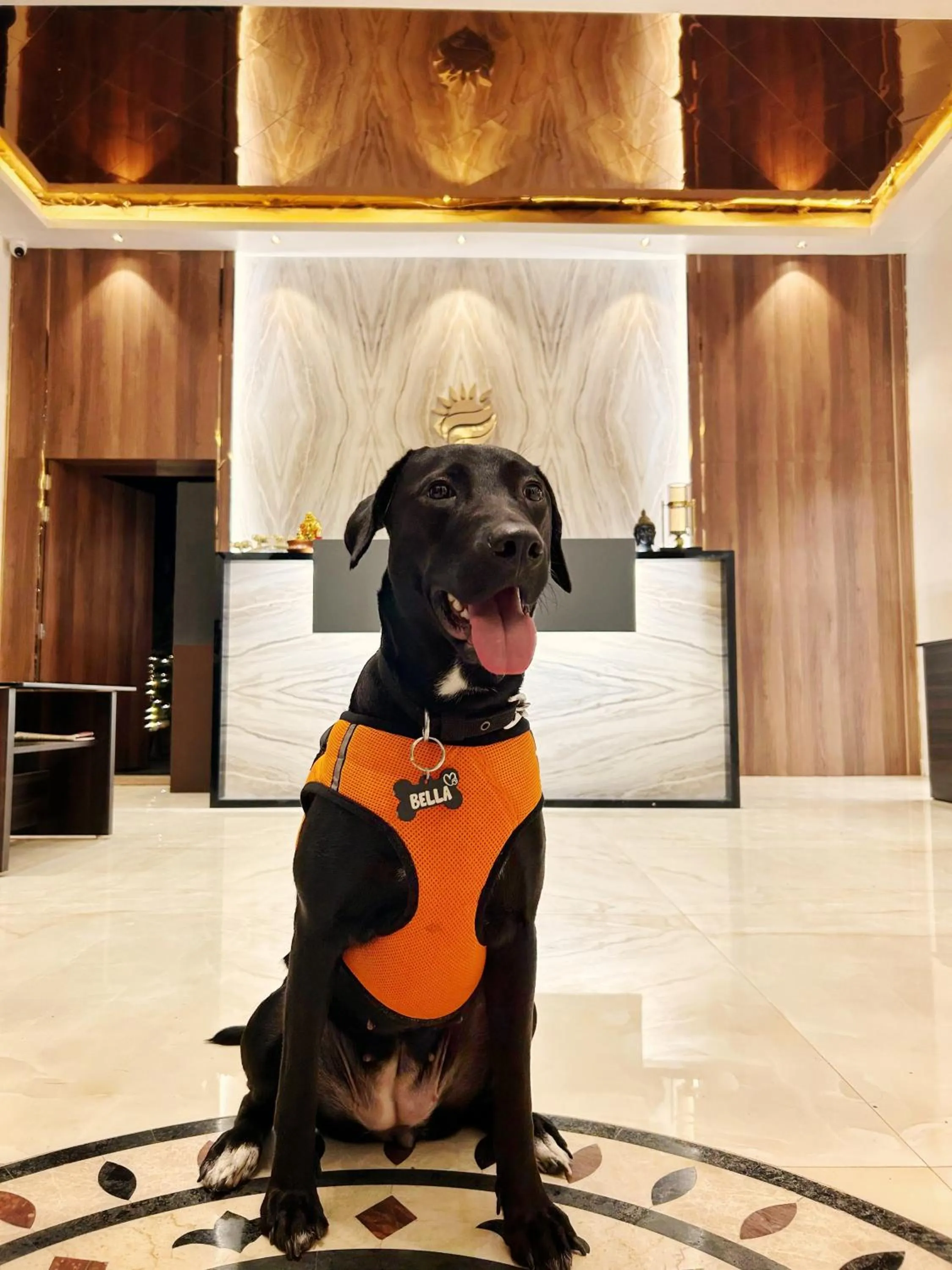 Pets in Grand Resort