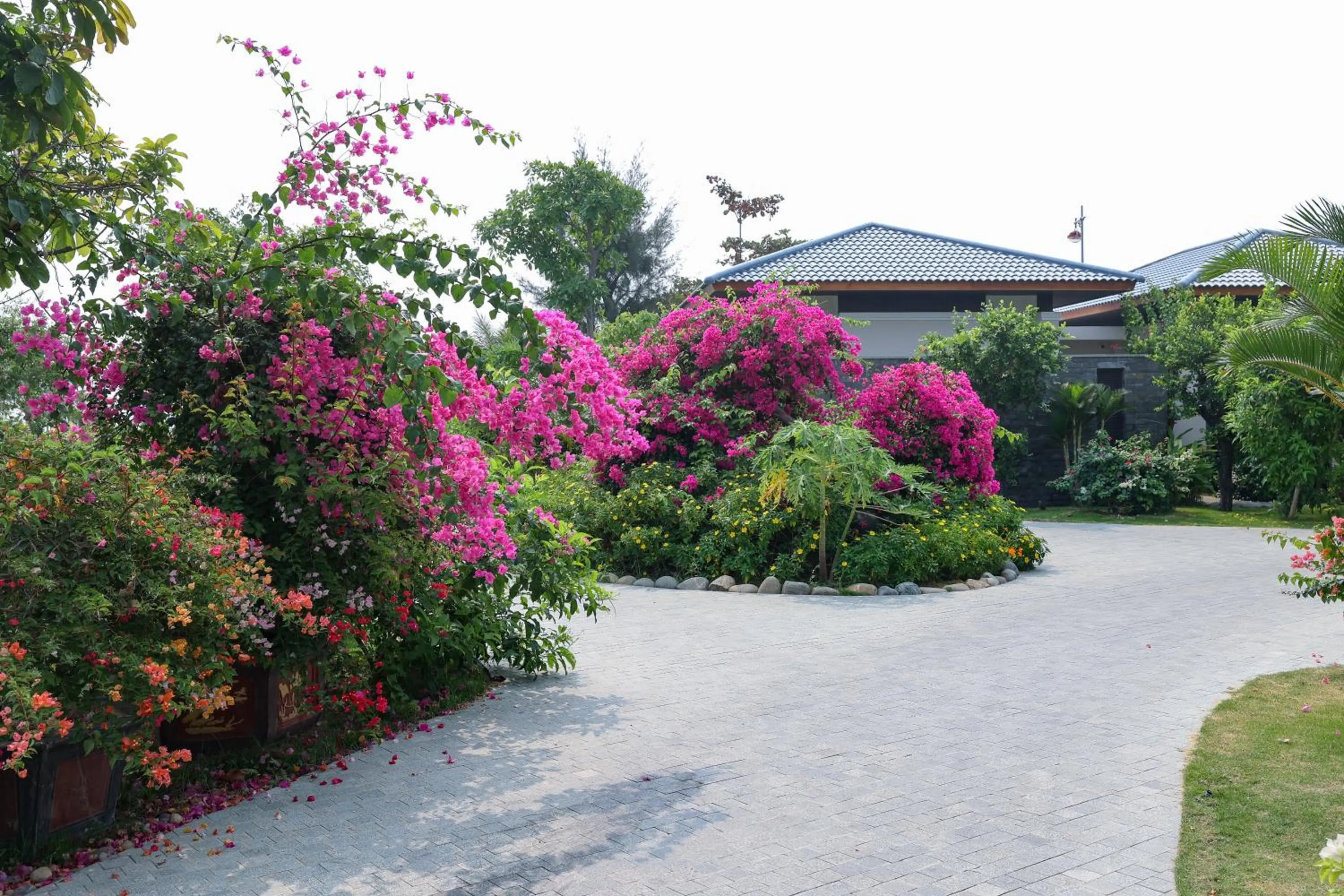 Garden in Hoan My Resort - Ninh Chu