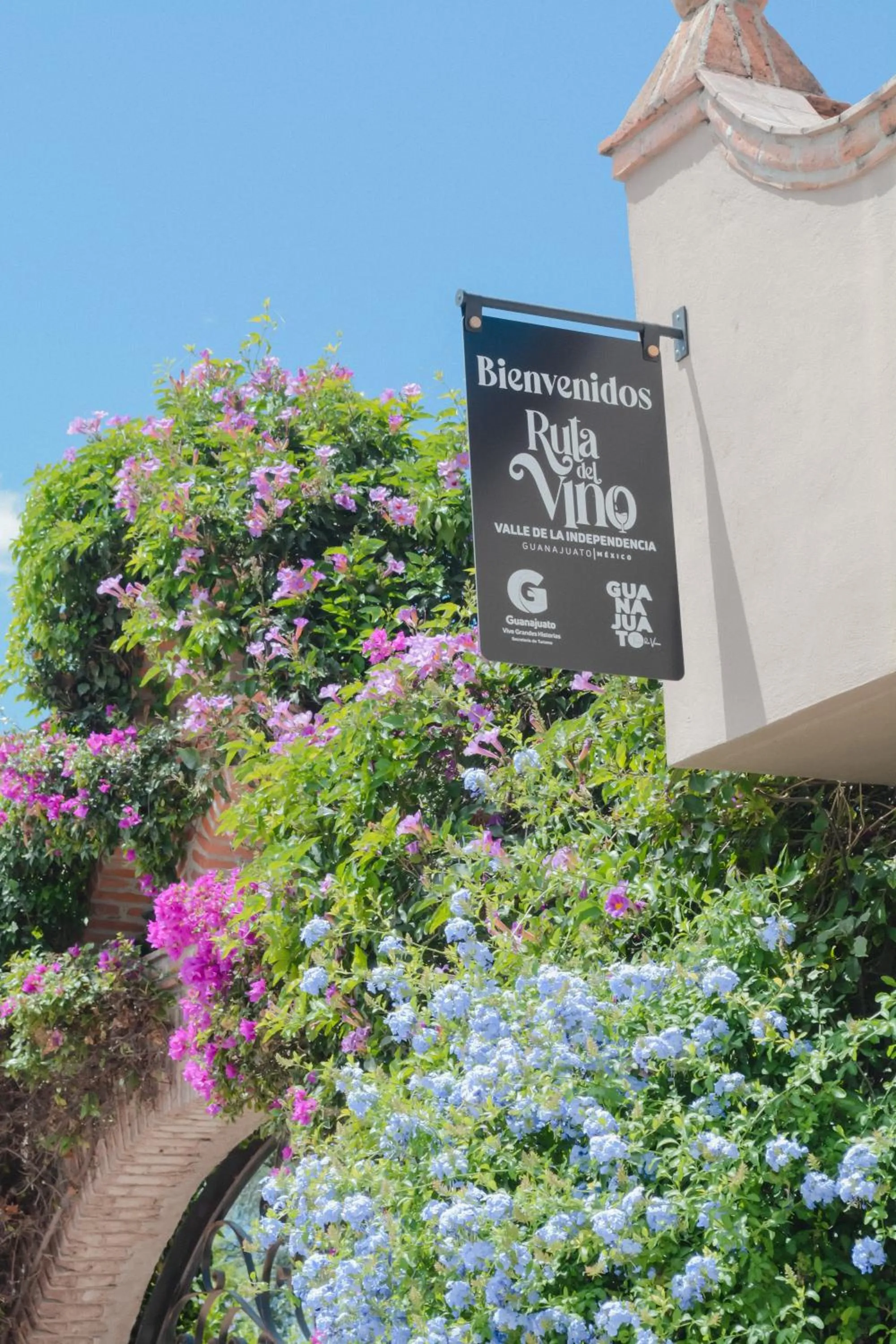 Alcoholic drinks in Casa Las Palmas, San Miguel de Allende