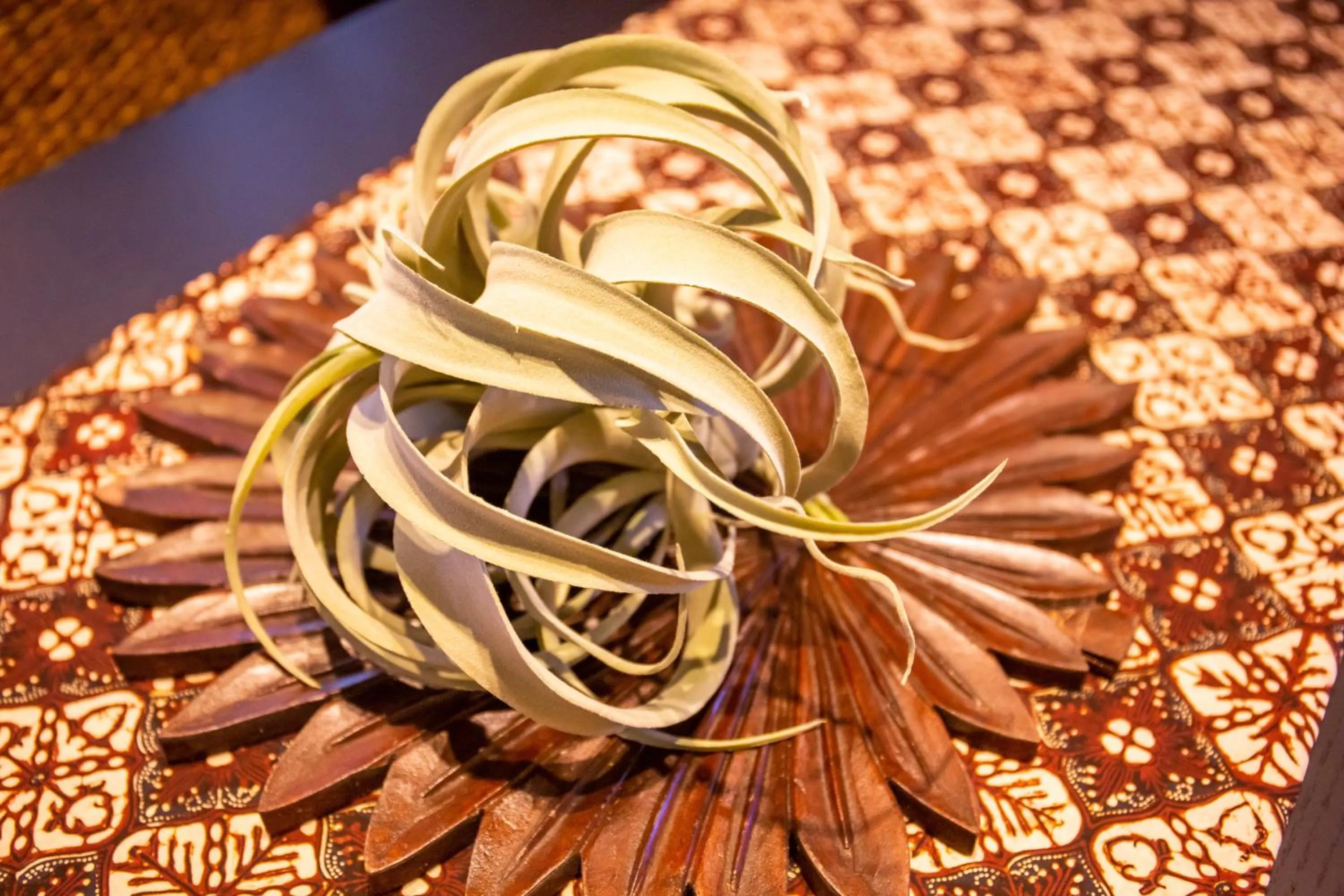 Photo of the whole room in Rizo Zaizen Hotel