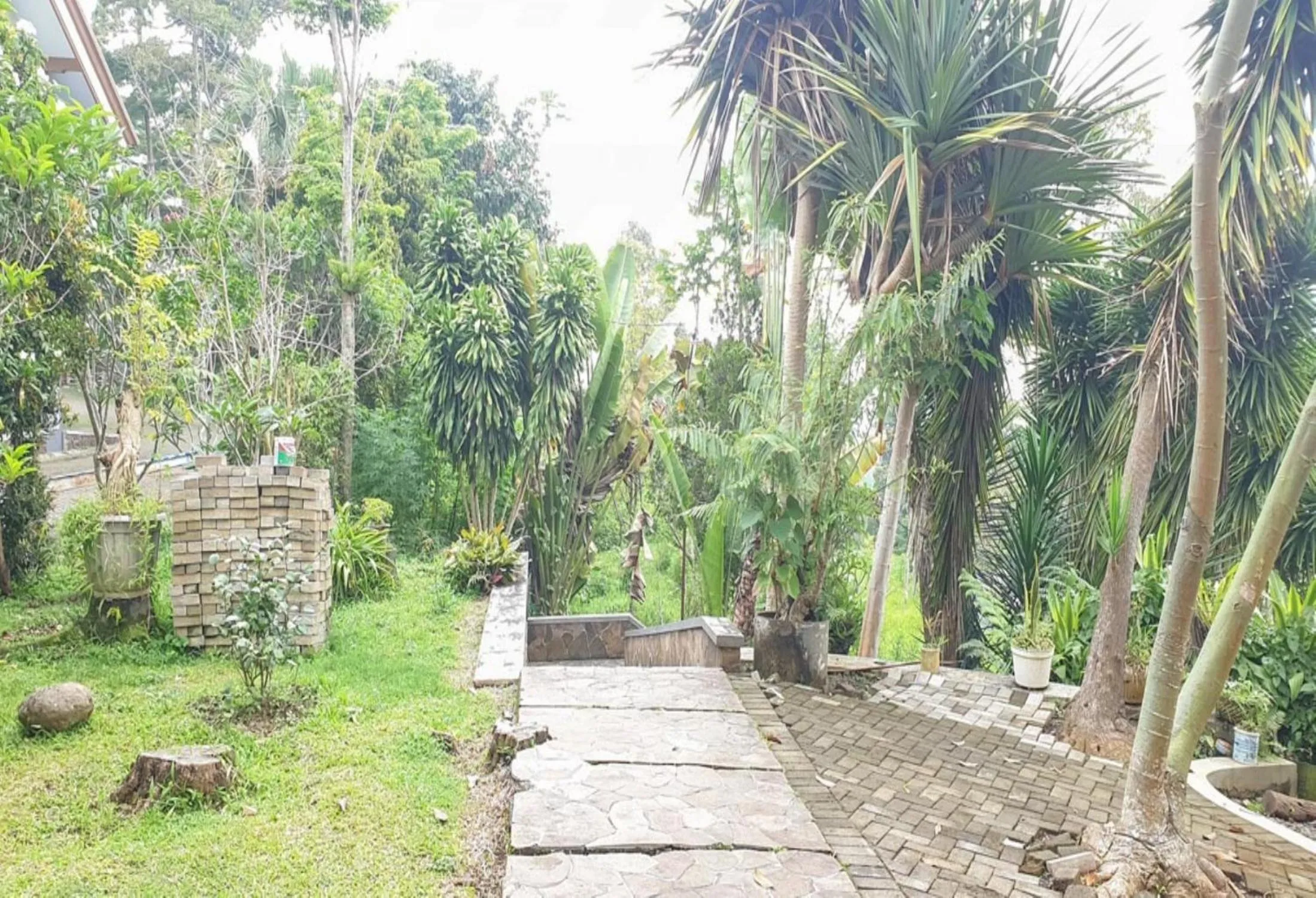 Hotel Mataram Cipanas Syariah Mitra RedDoorz