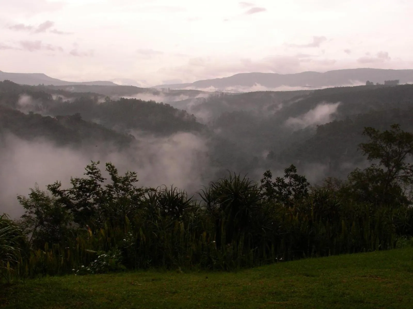 Property building in Bohm's Zeederberg Country House