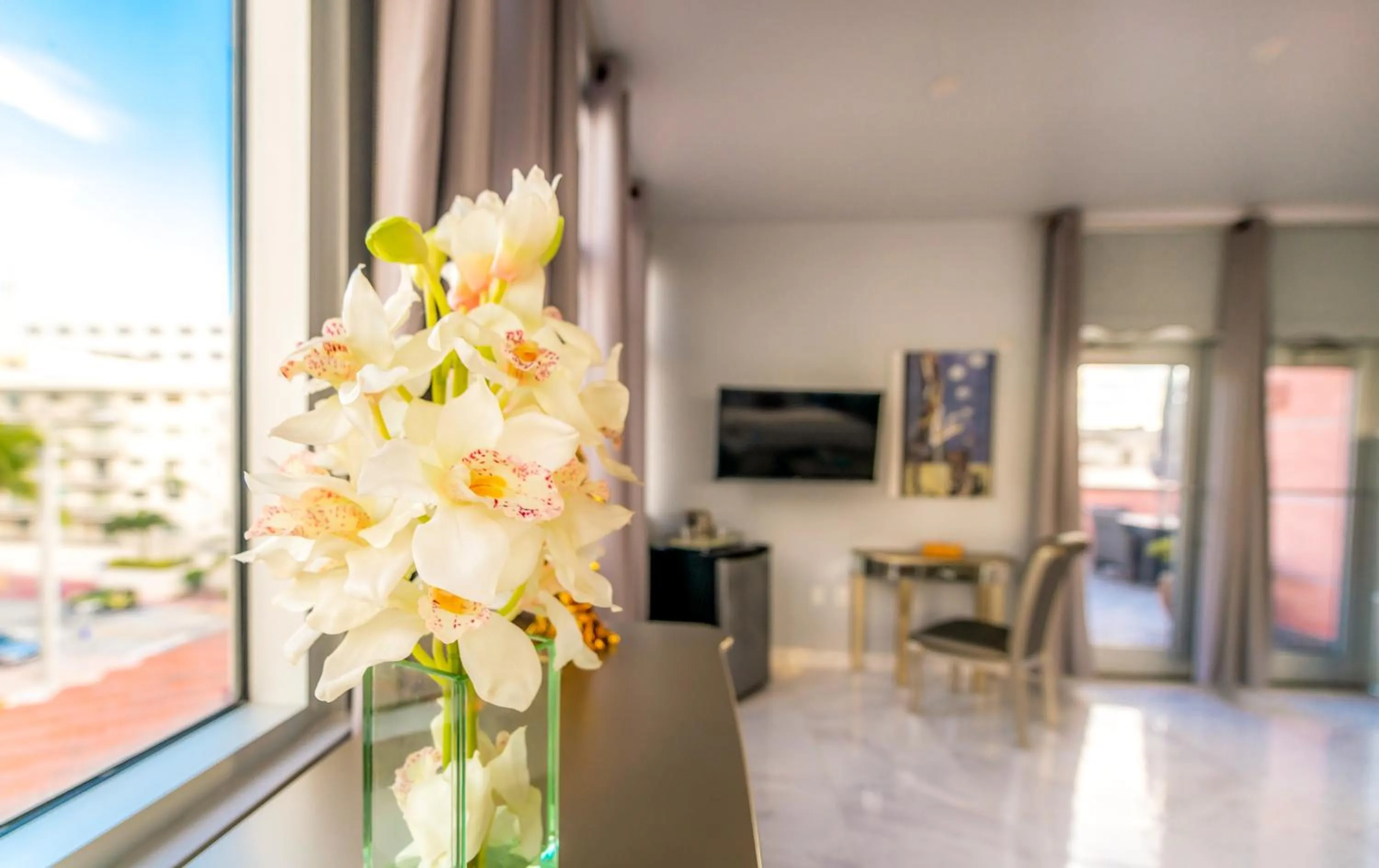 Living room in Secret Garden Miami Beach