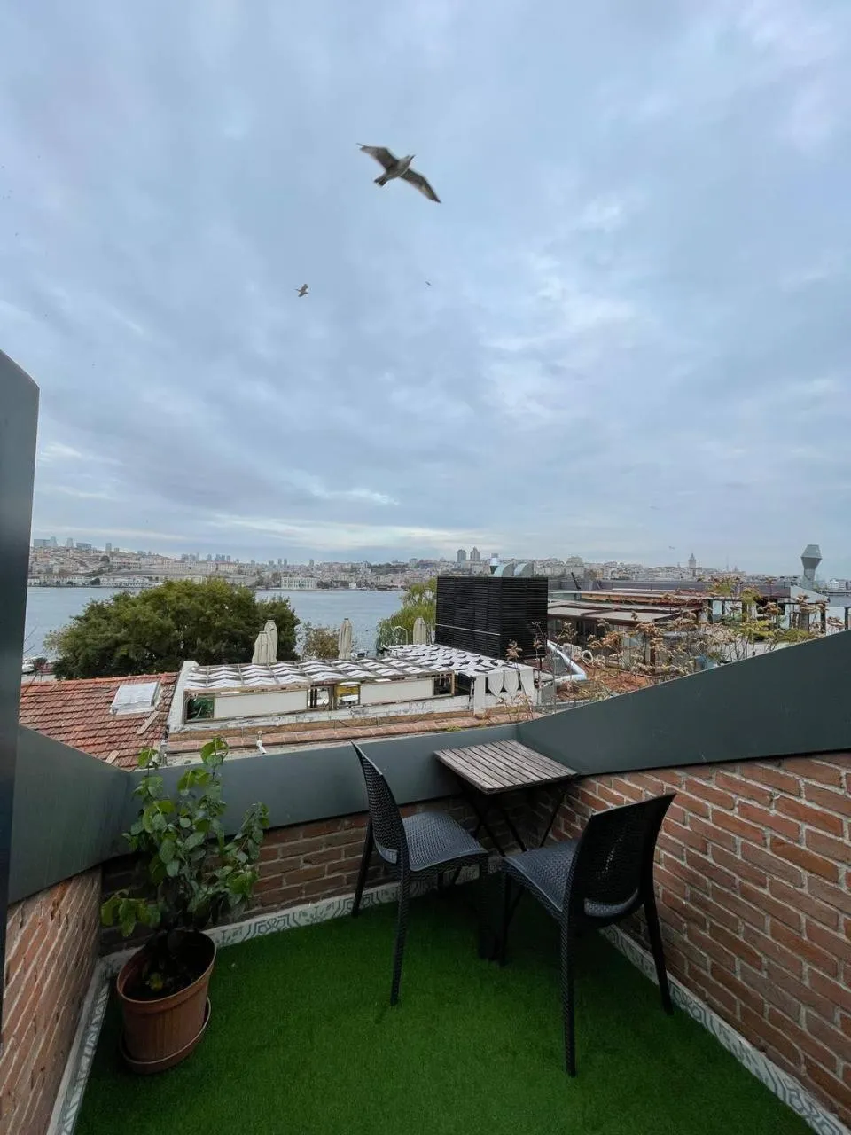 View (from property/room) in Gen Suites Cibali