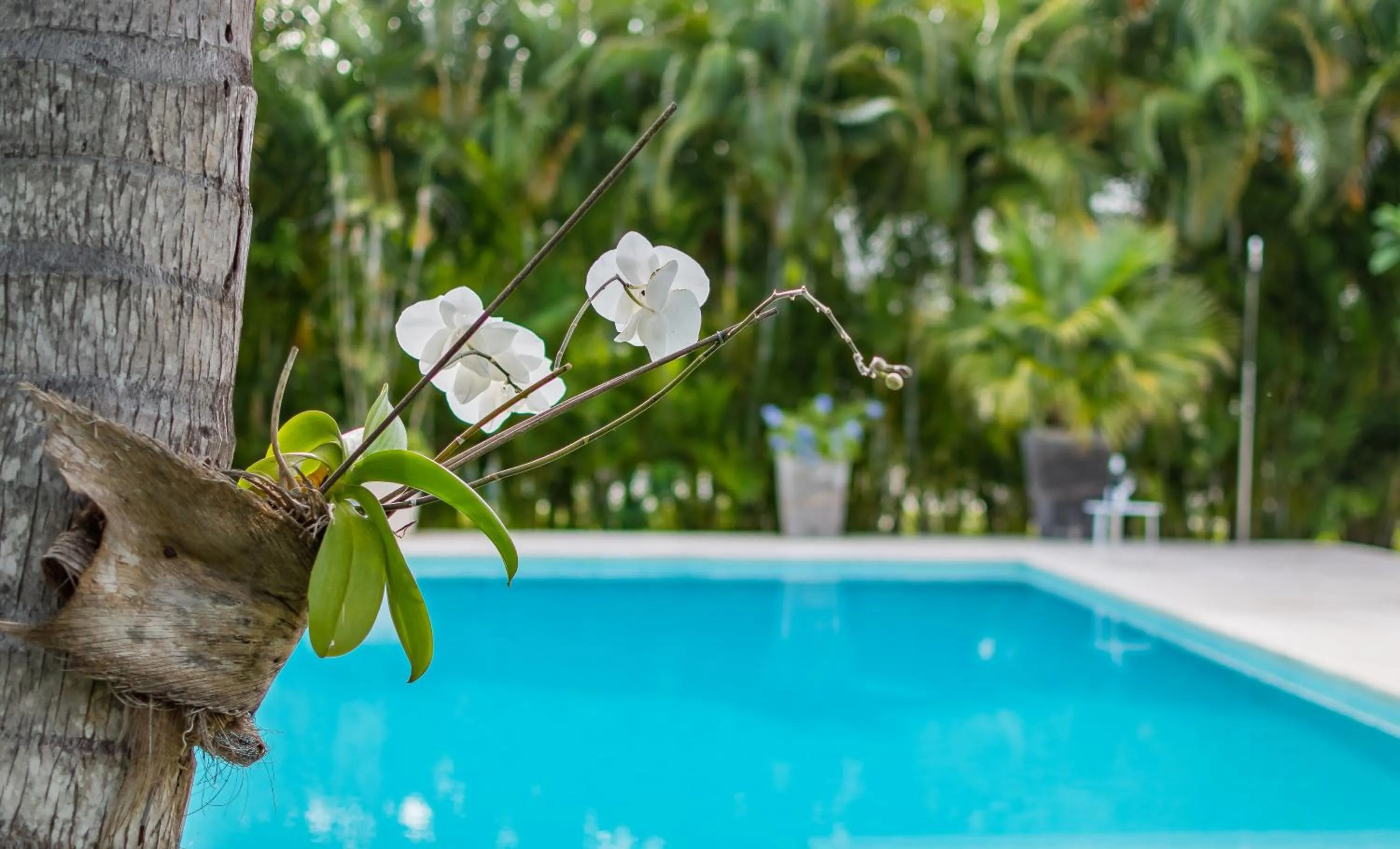 Day in Unbelievable Villa with Pool - Perfect Family Vacay