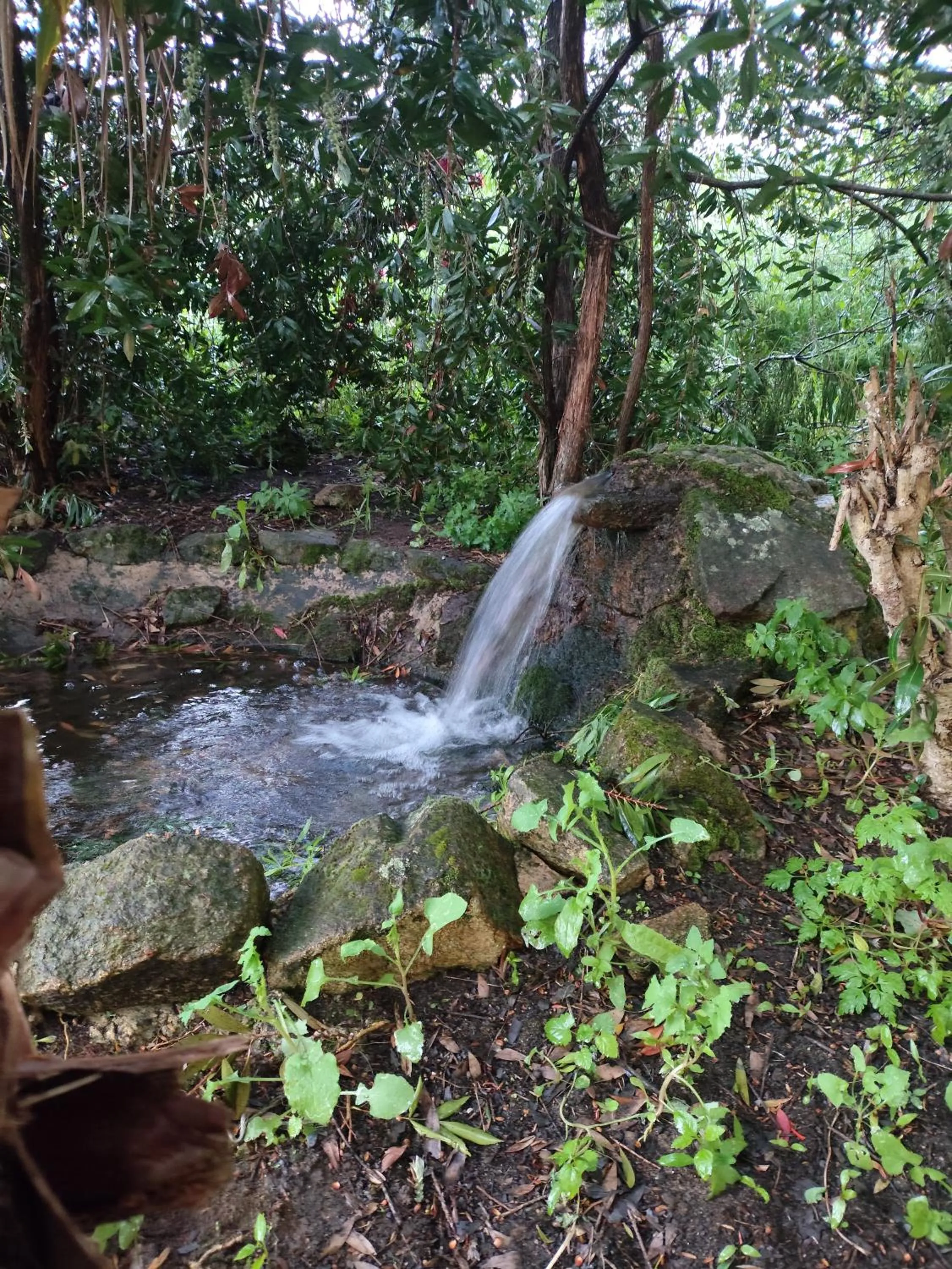 Garden in Hotel Rural Xerete