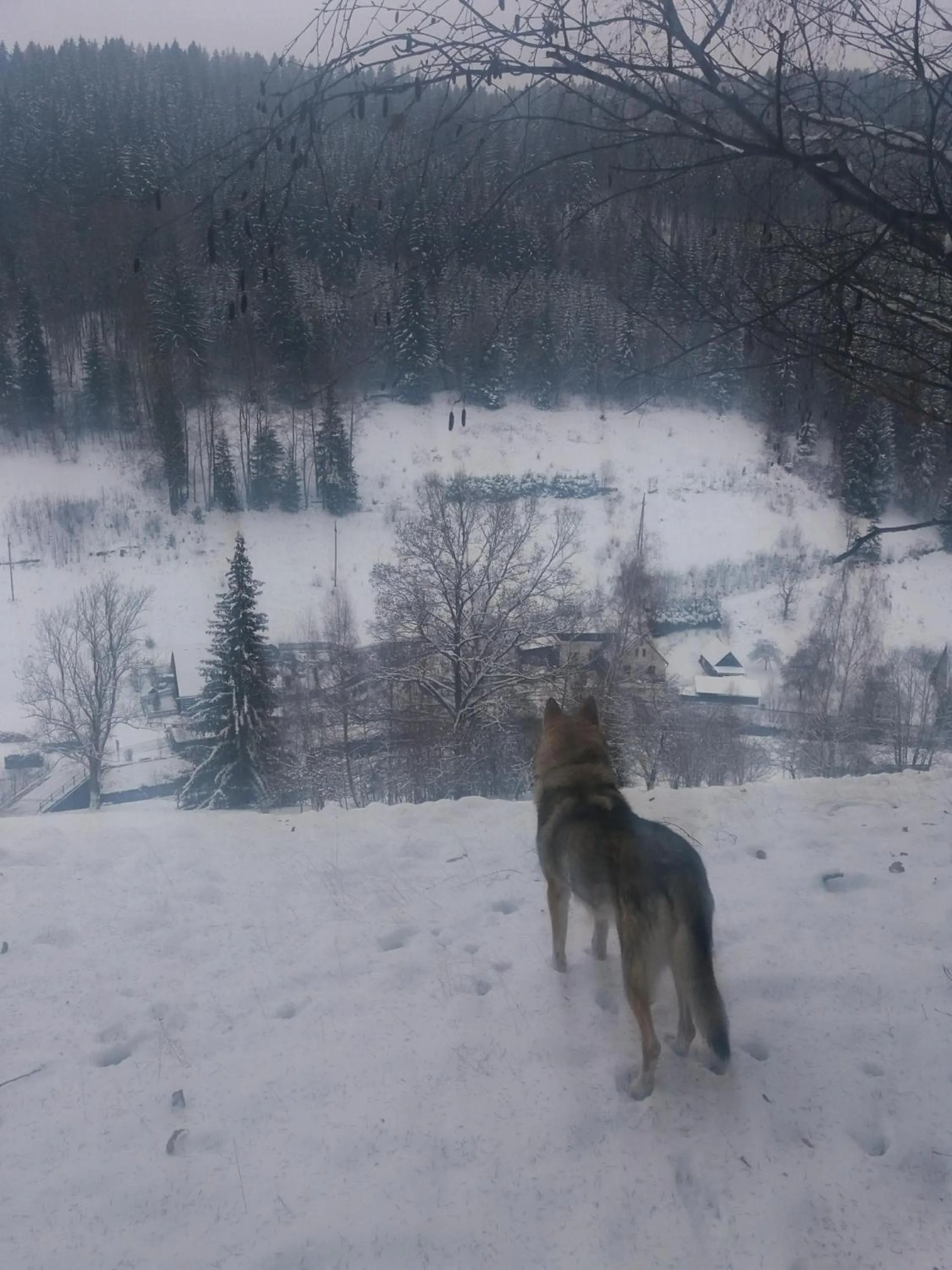 Off site in Hotel ČESKÁ FARMA