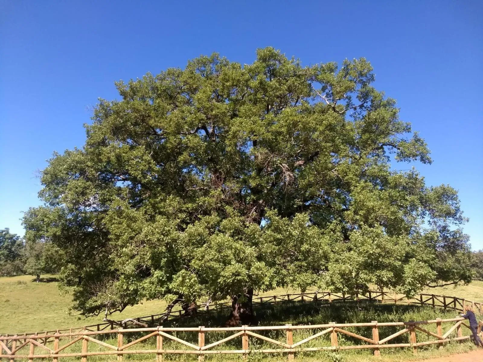 Nearby landmark in Hotel Villa de Berzocana