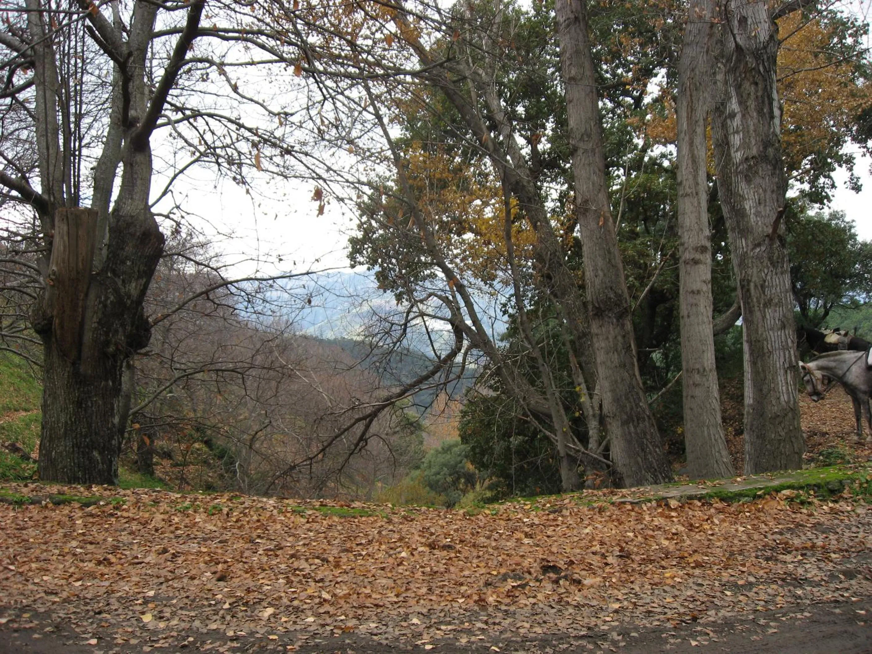 Nearby landmark in Hotel Villa de Berzocana