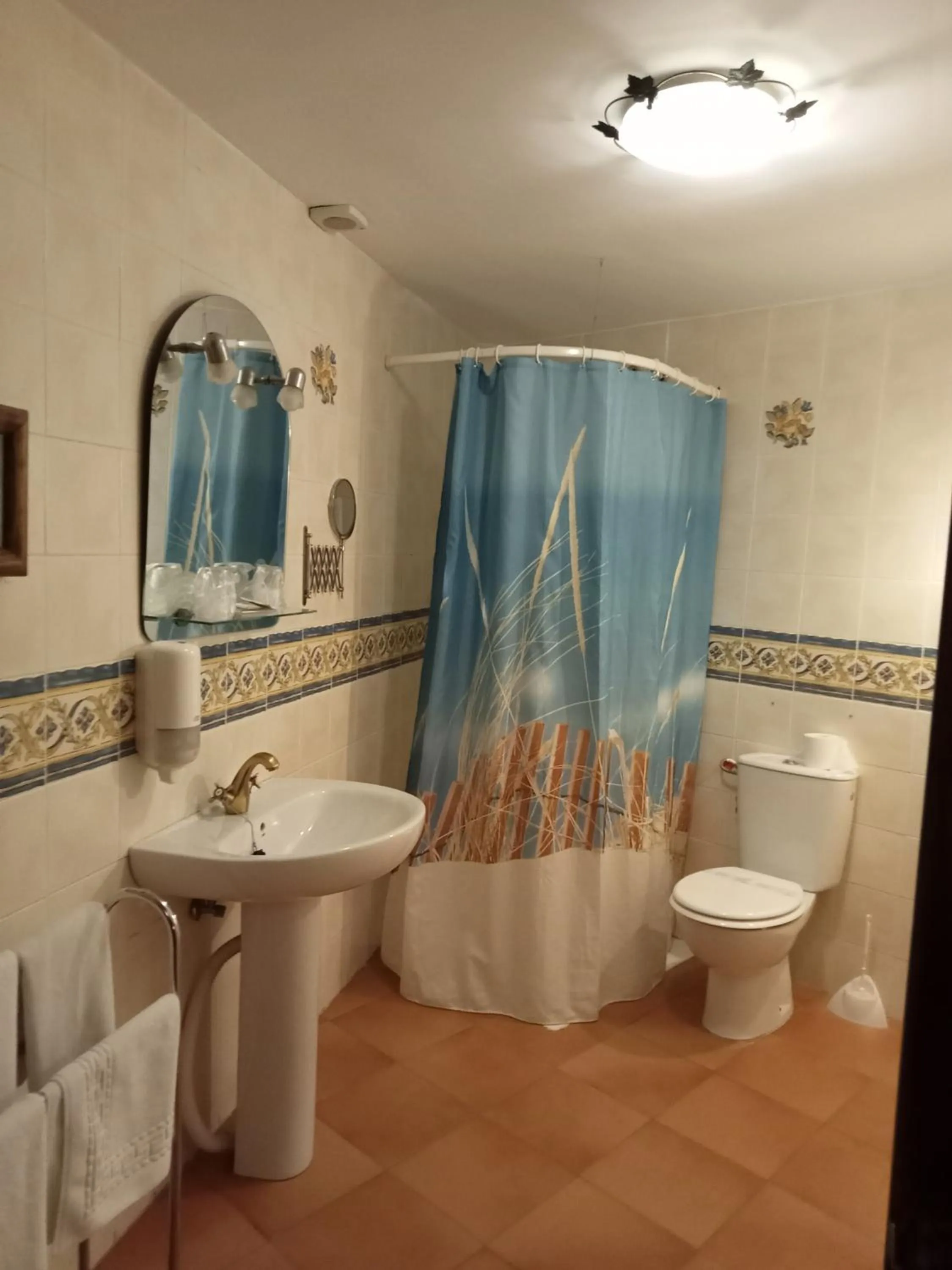 Shower in Hotel Villa de Berzocana