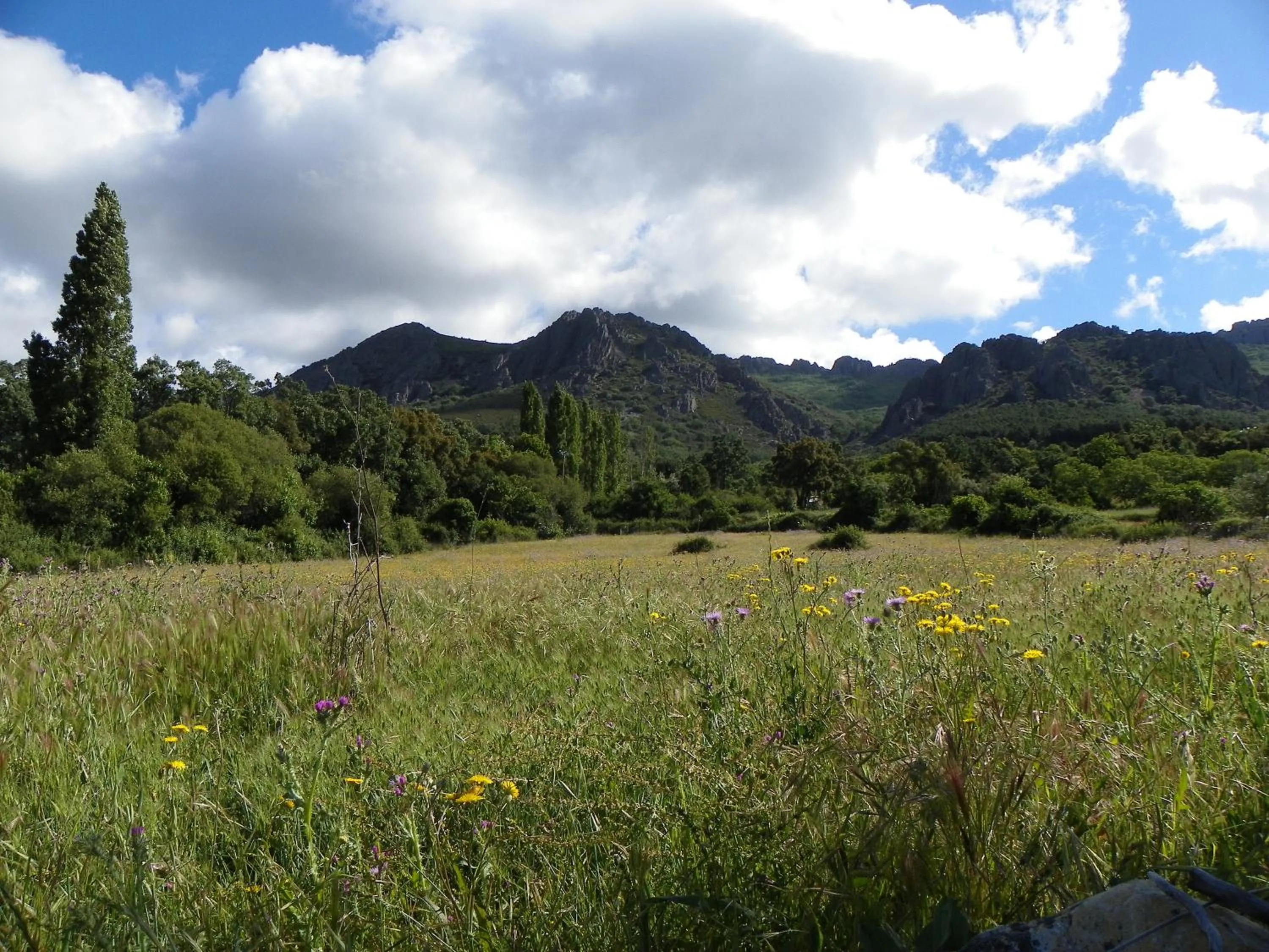 Nearby landmark in Hotel Villa de Berzocana