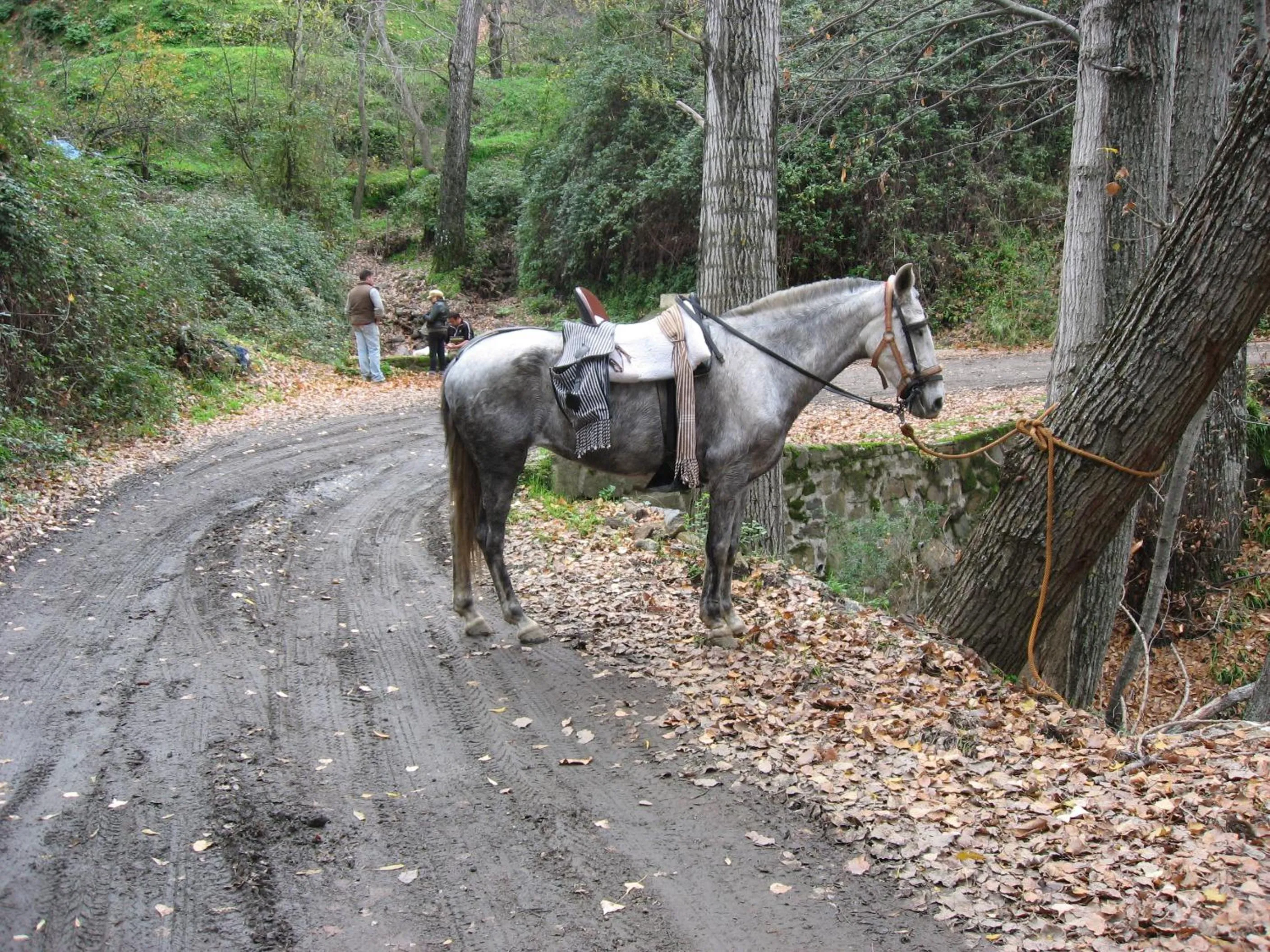 Nearby landmark in Hotel Villa de Berzocana