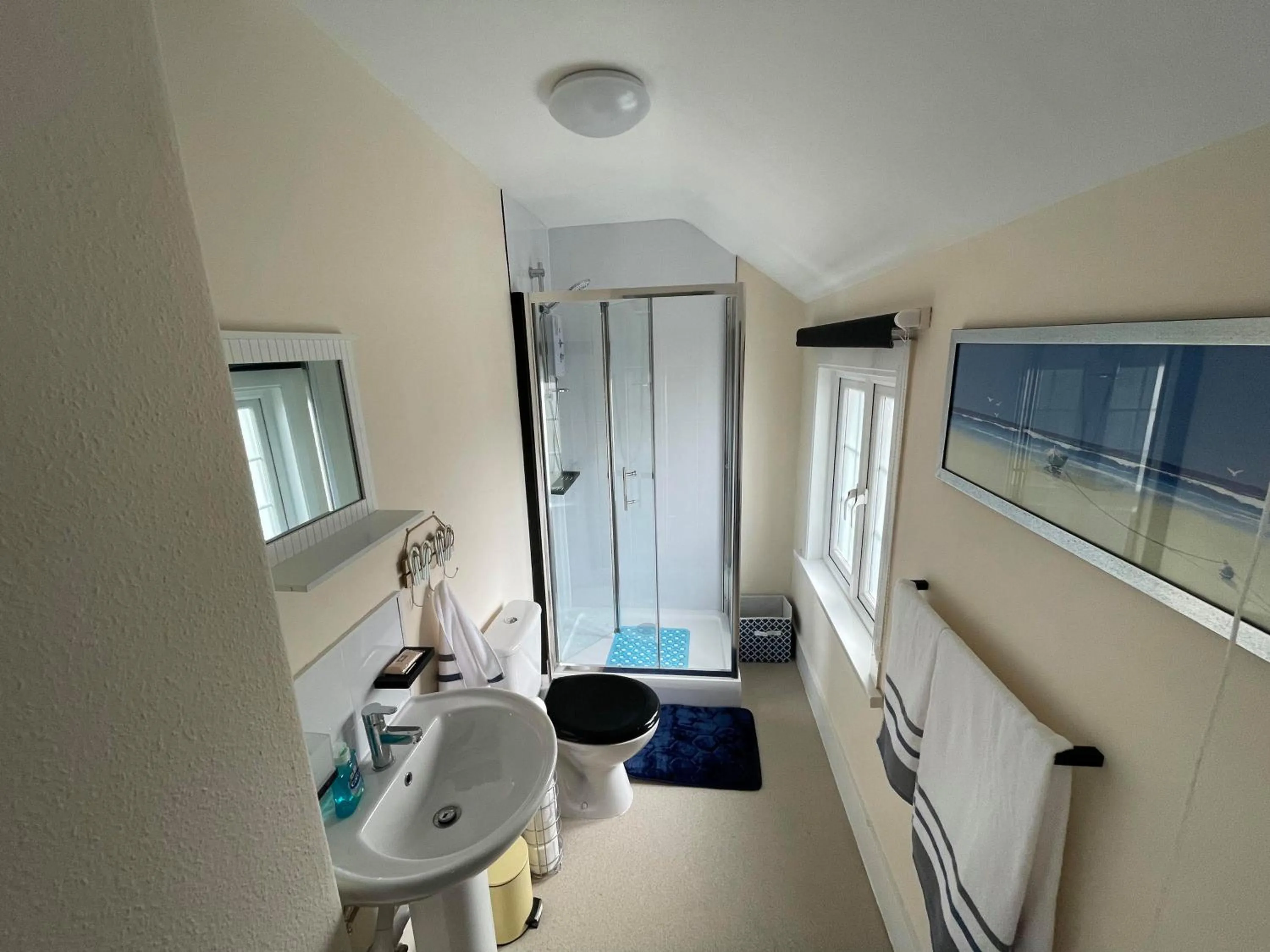 Shower in THE KINGS ARMS INN