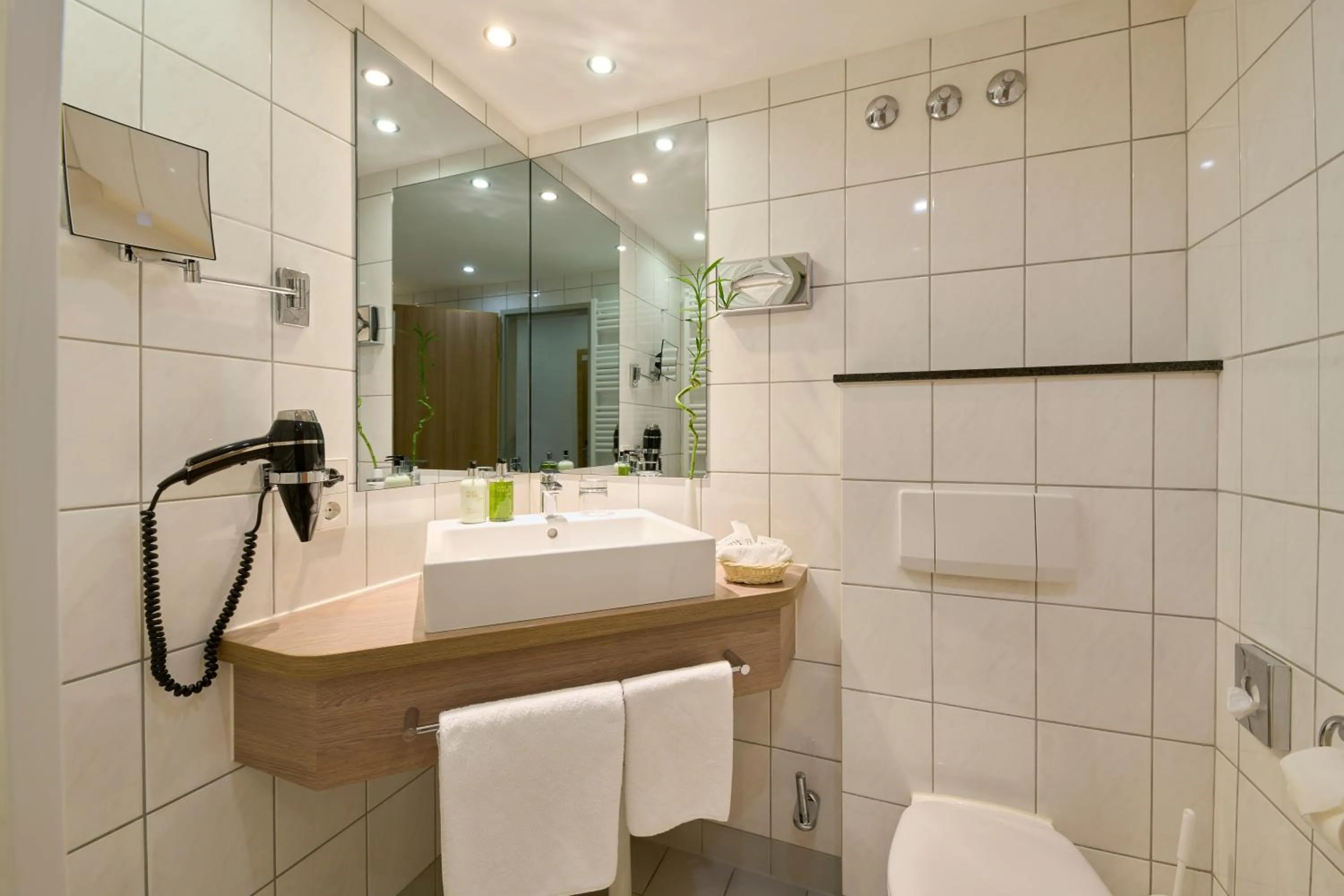 Bathroom in Hotel Bernstein