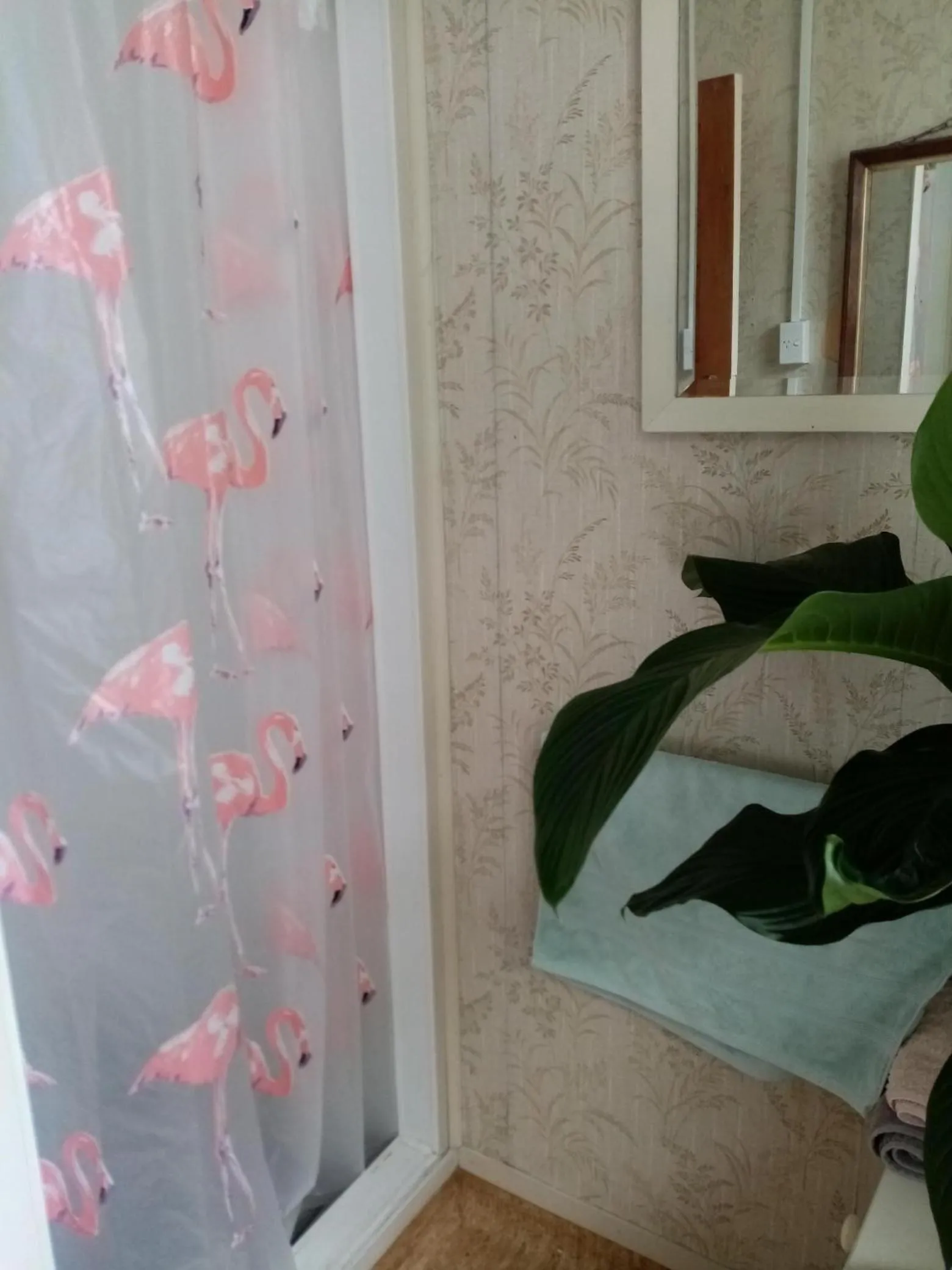 Bed in Manakau House The Old Manakau Hotel 1920