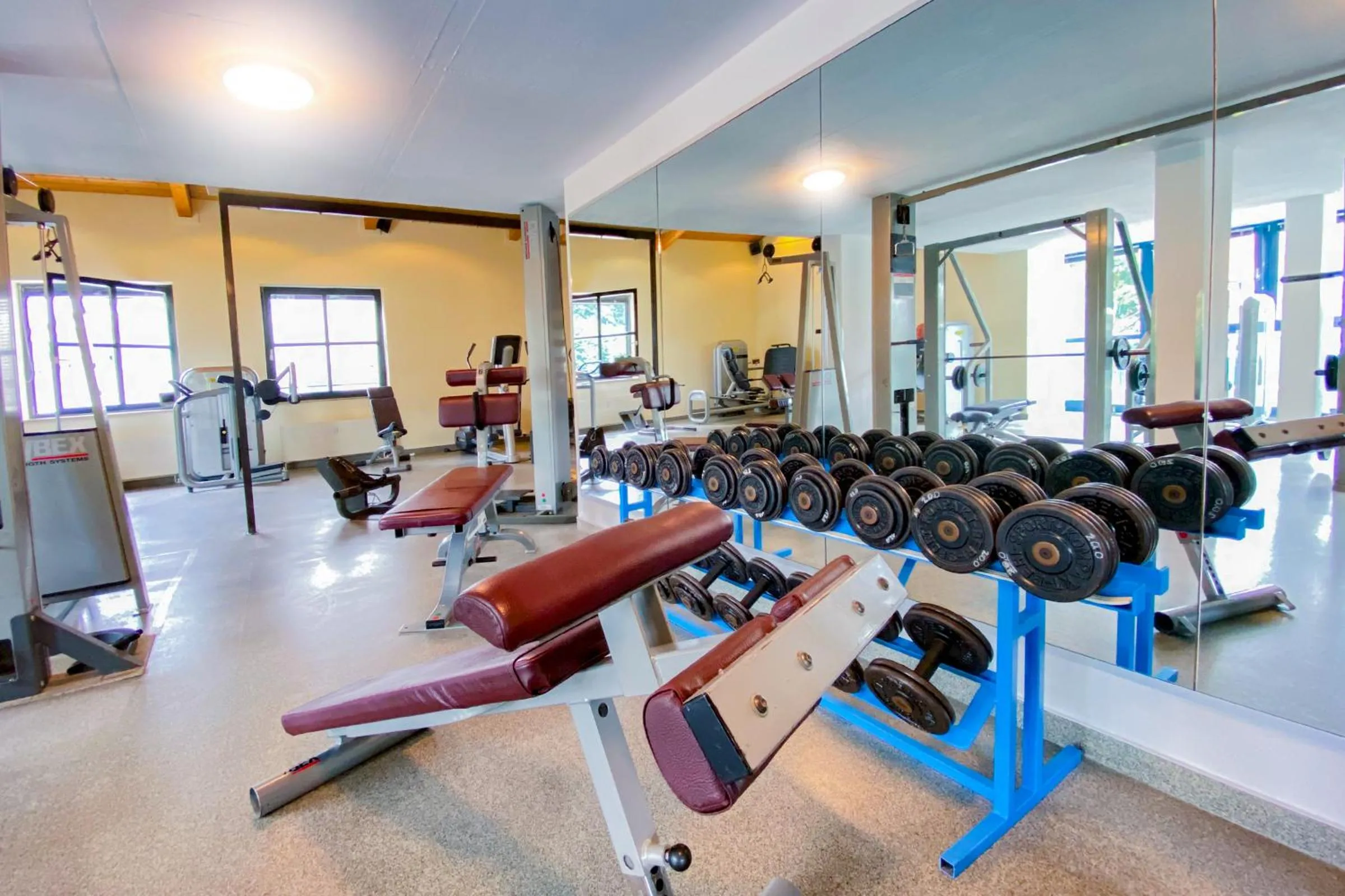 Fitness centre/facilities in aktiv Sporthotel Sächsische Schweiz