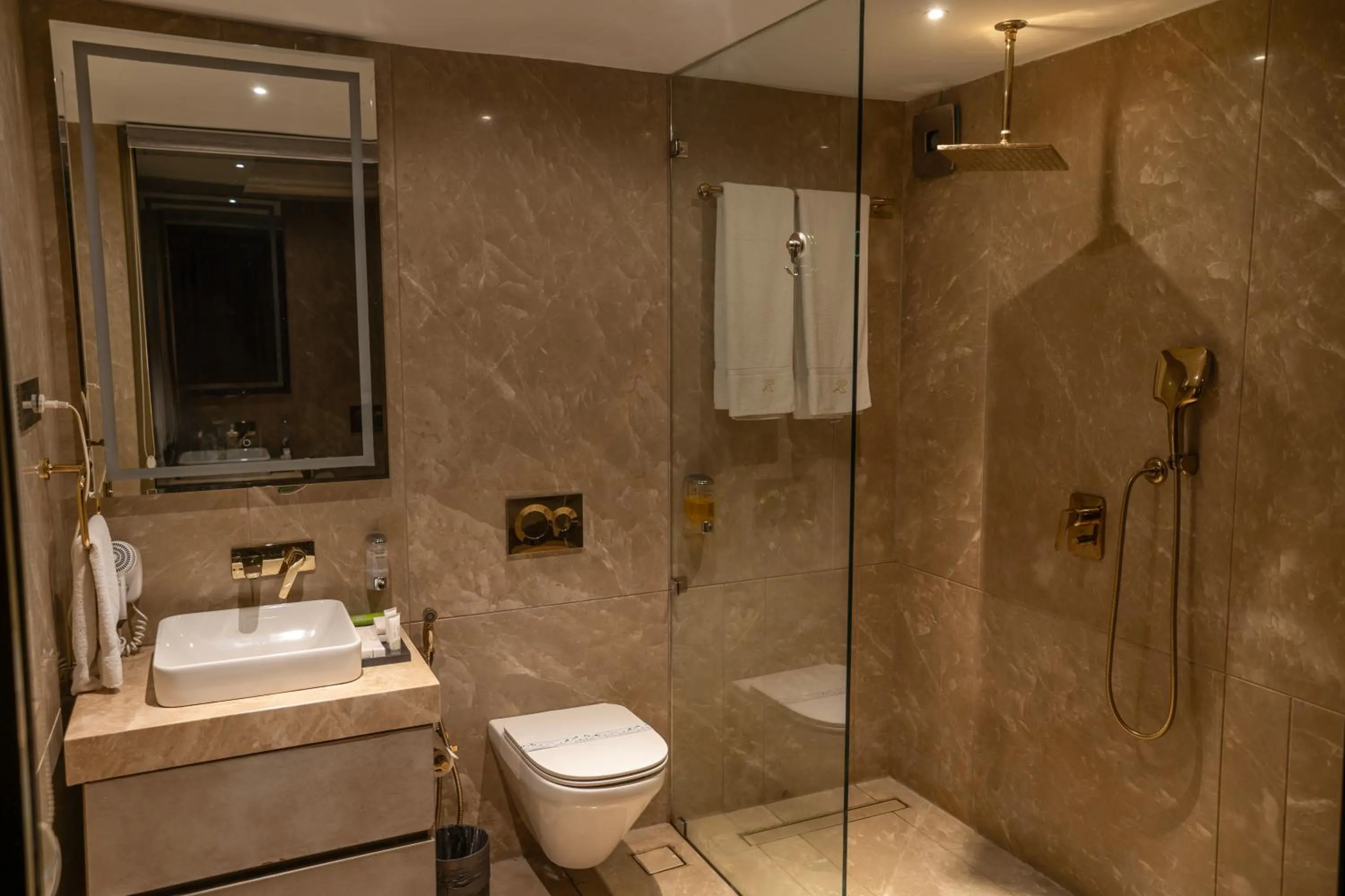 Bathroom in Valentia The Exotic Boutique Hotel - Pure Veg