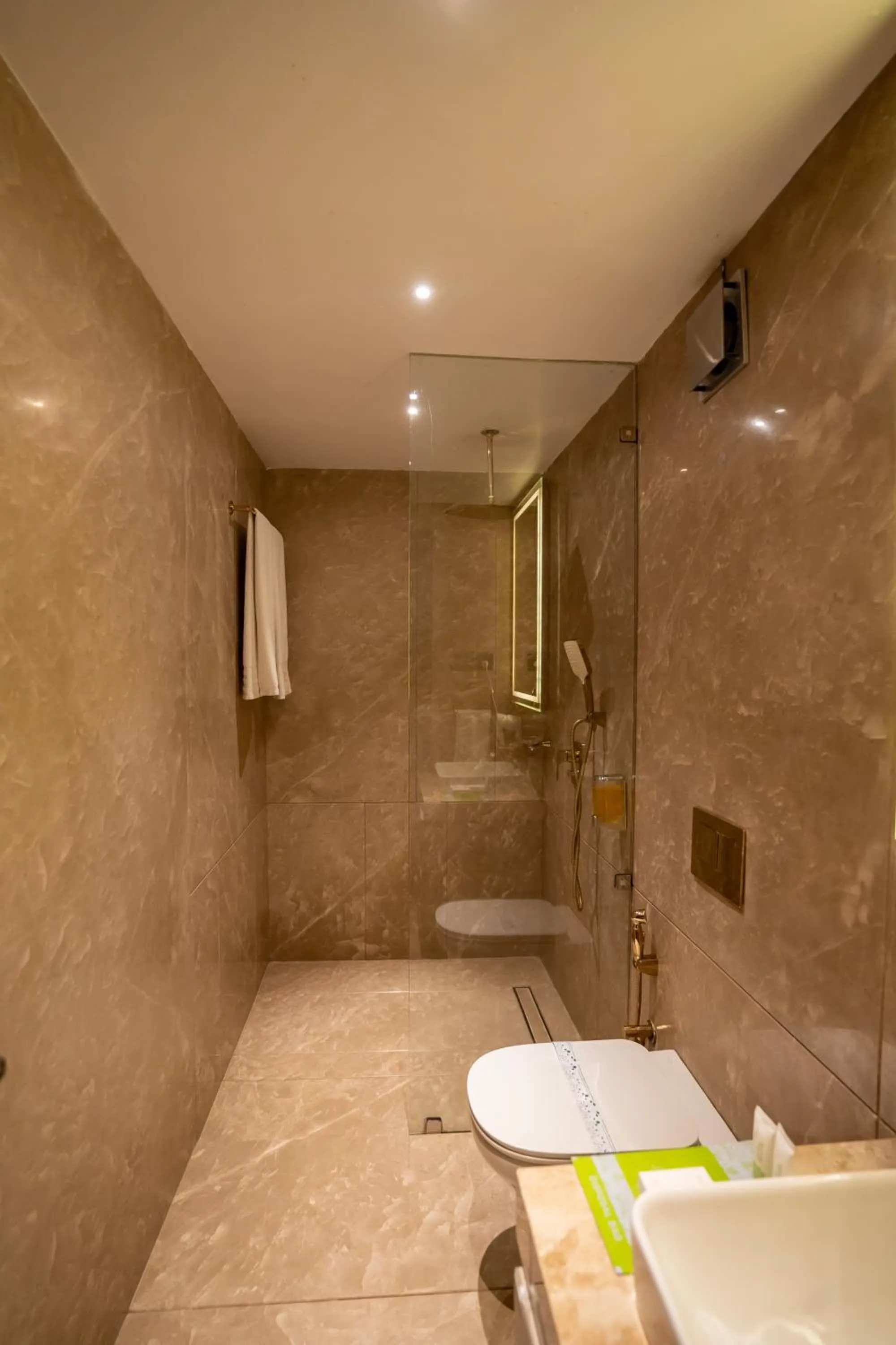 Shower in Valentia The Exotic Boutique Hotel - Pure Veg