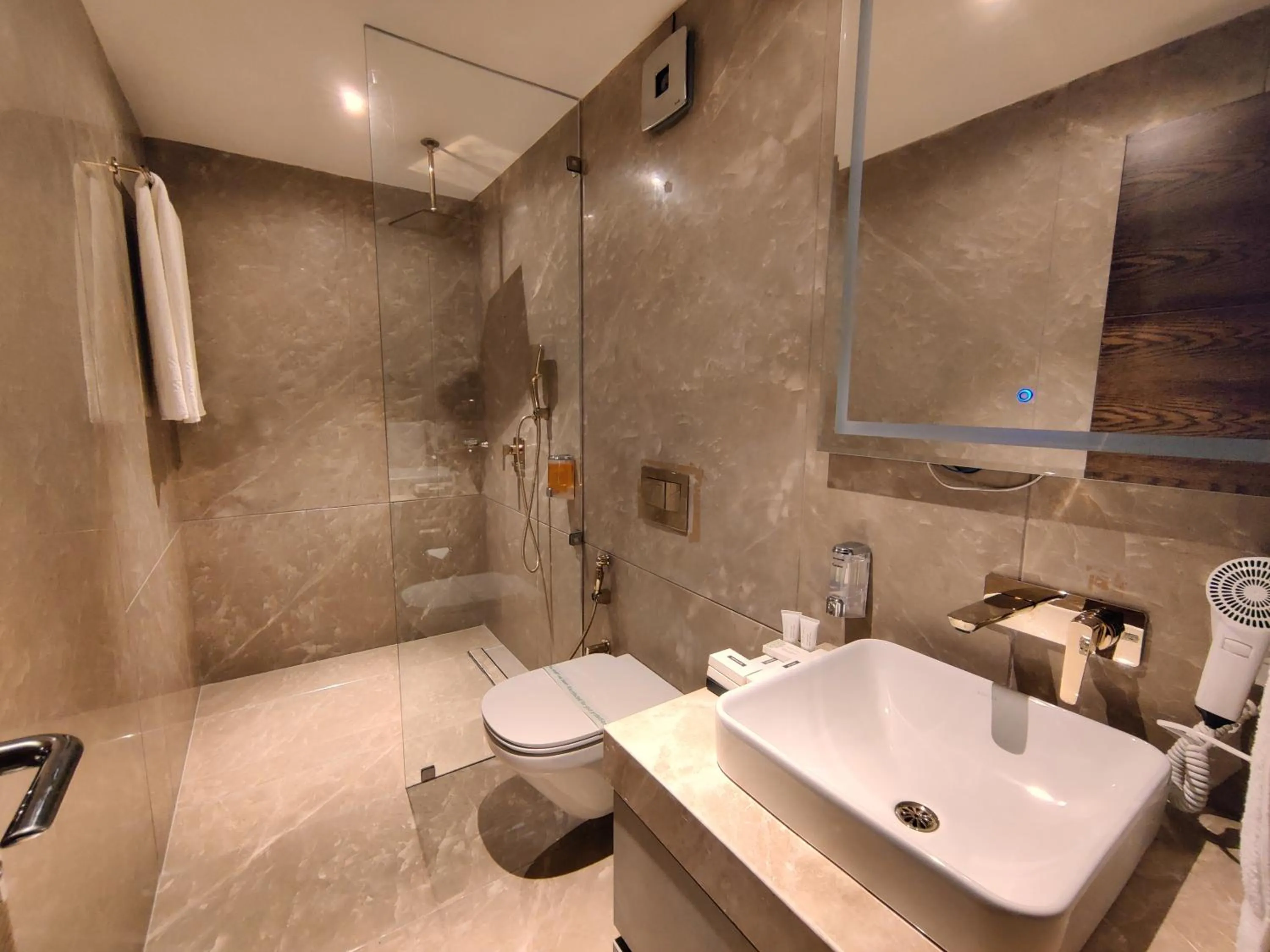 Shower in Valentia The Exotic Boutique Hotel - Pure Veg