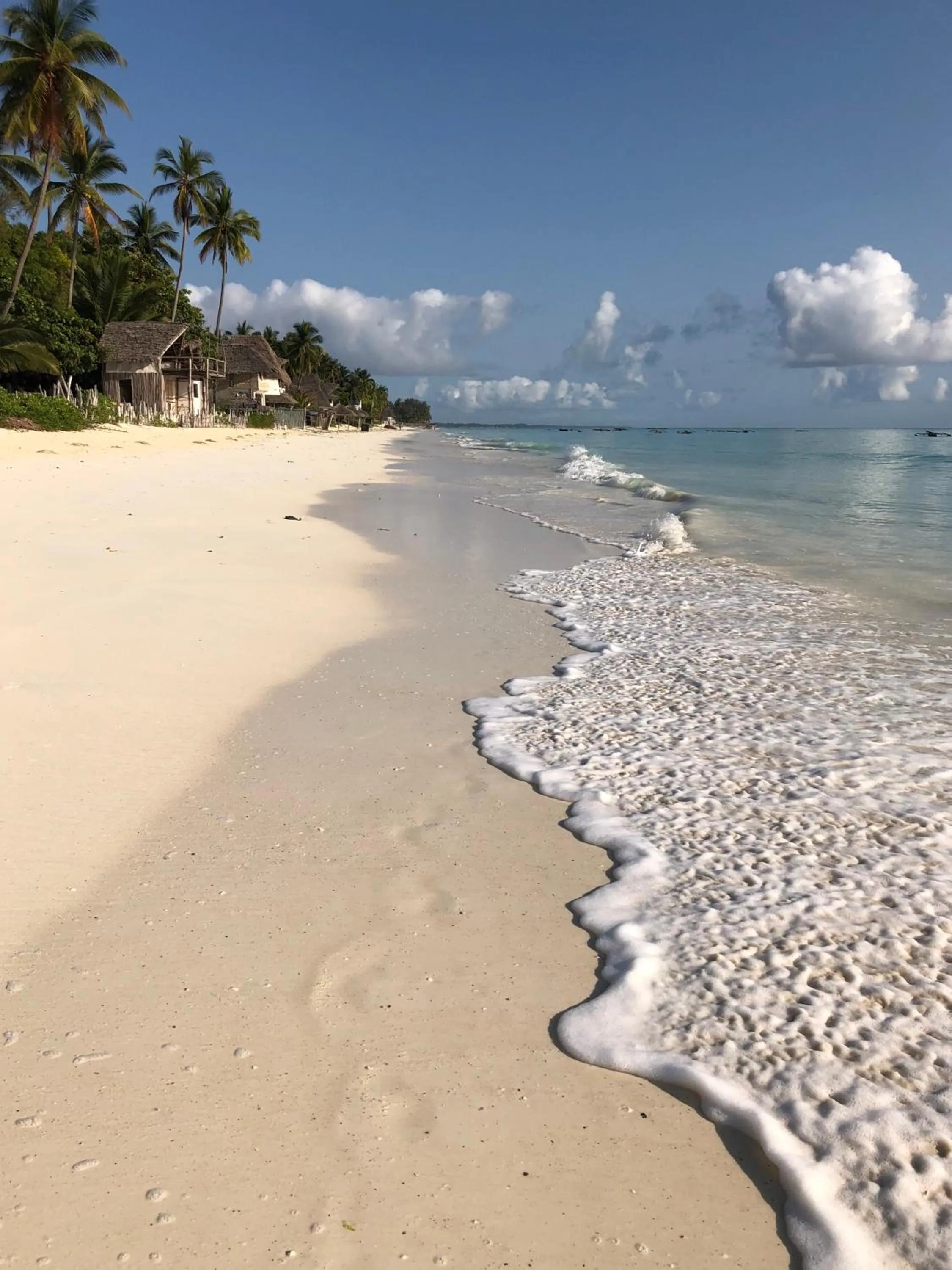 Beach in Aurora Boutique Hotel Jambiani