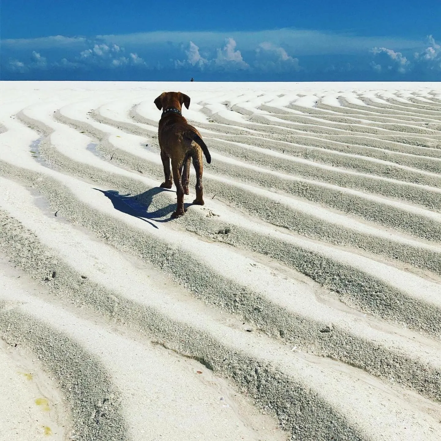 Activities in Aurora Boutique Hotel Jambiani