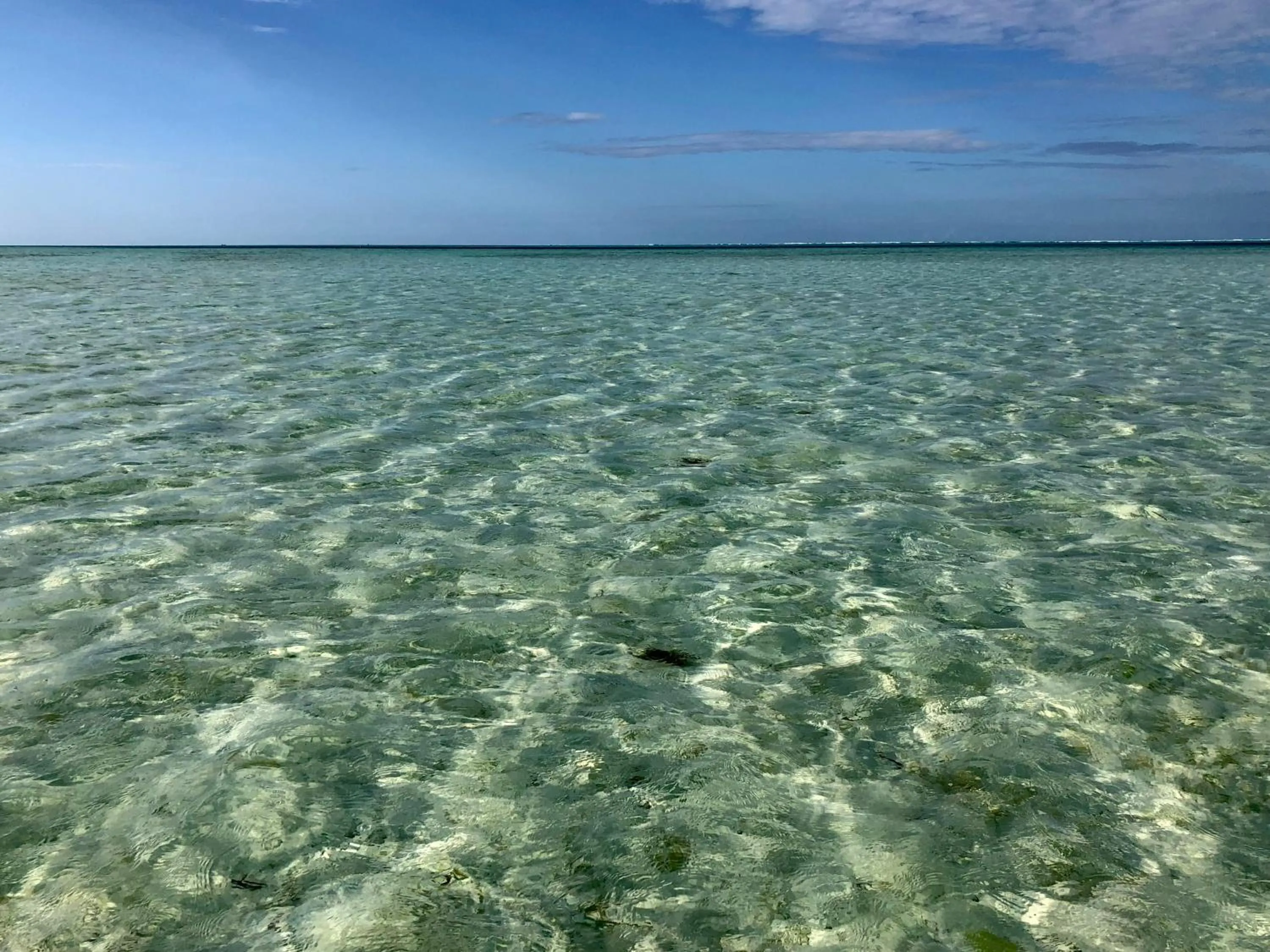 Beach in Aurora Boutique Hotel Jambiani