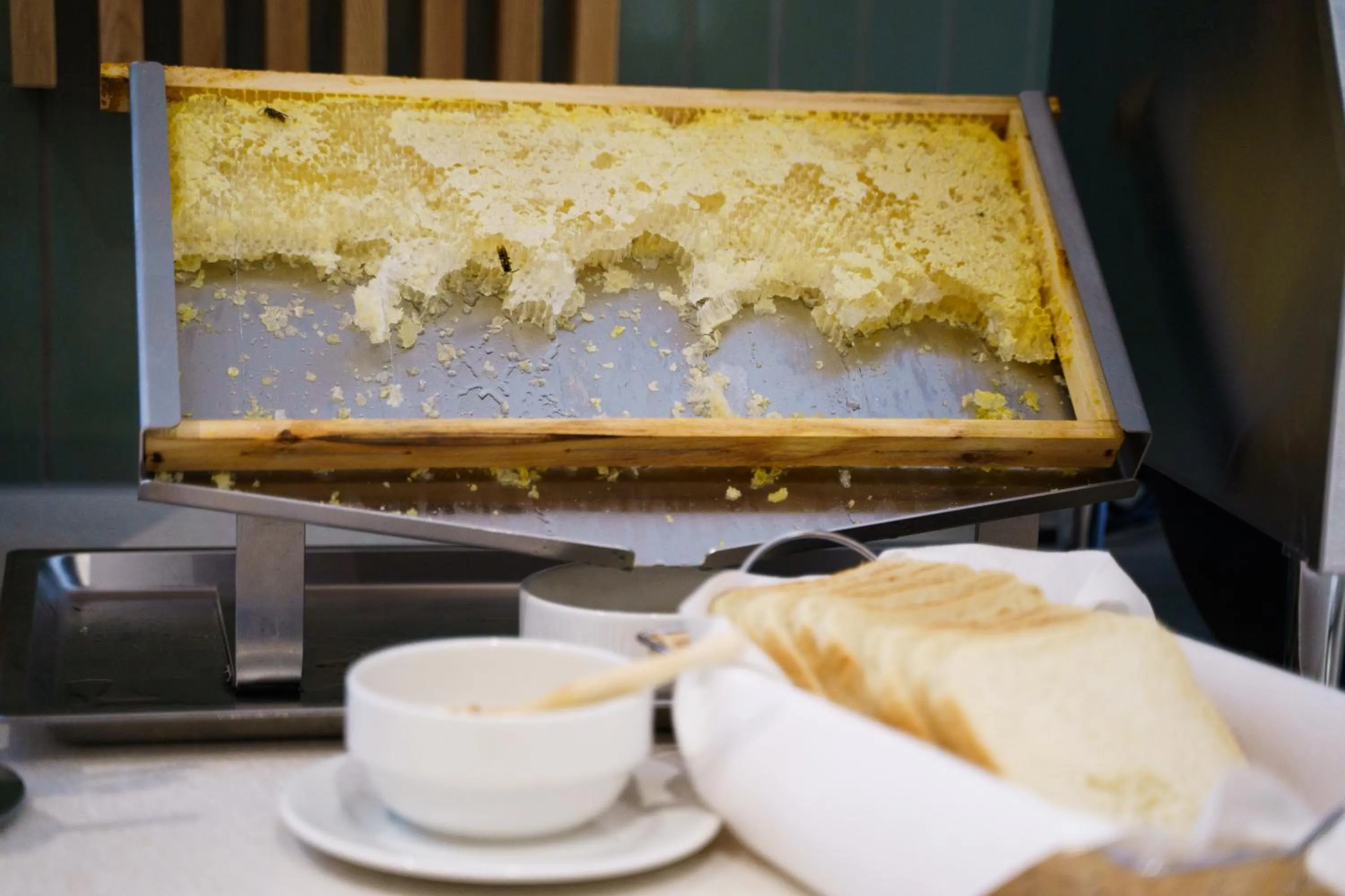 Buffet breakfast in Hotel Wilder Mann