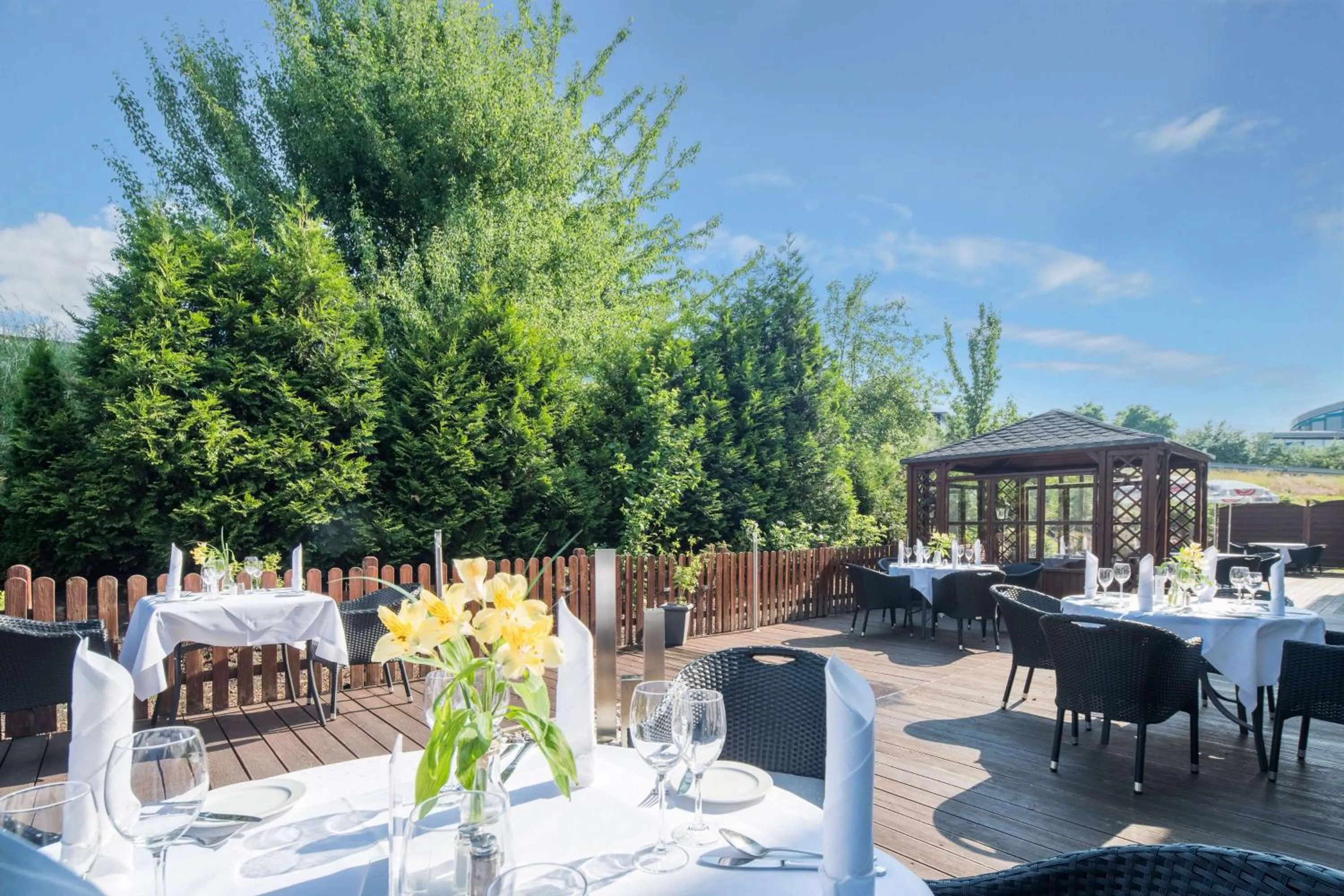 Food and drinks in Best Western Hotel Helmstedt am Lappwald