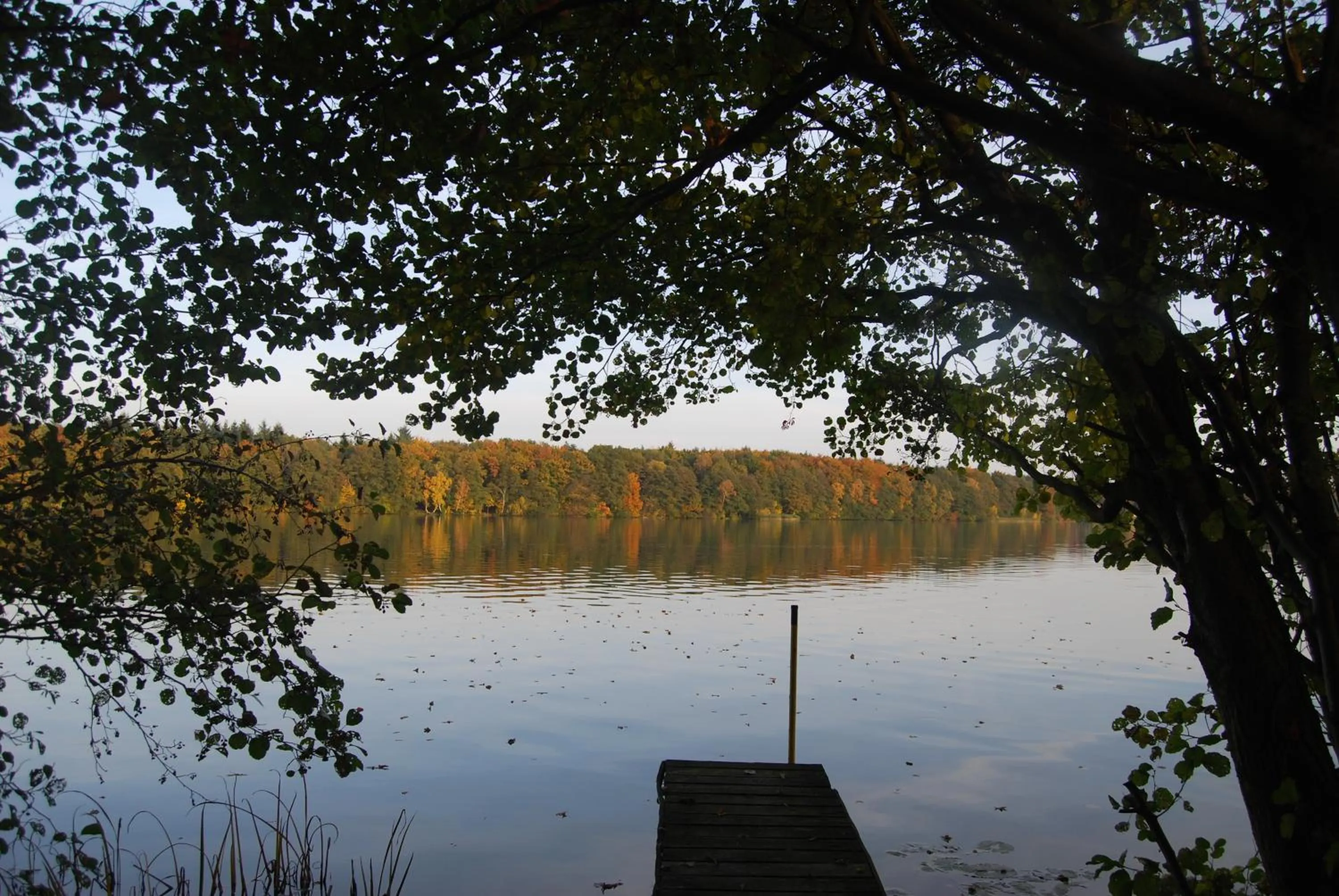 Area and facilities in Hotel & Restaurant Waldschlösschen