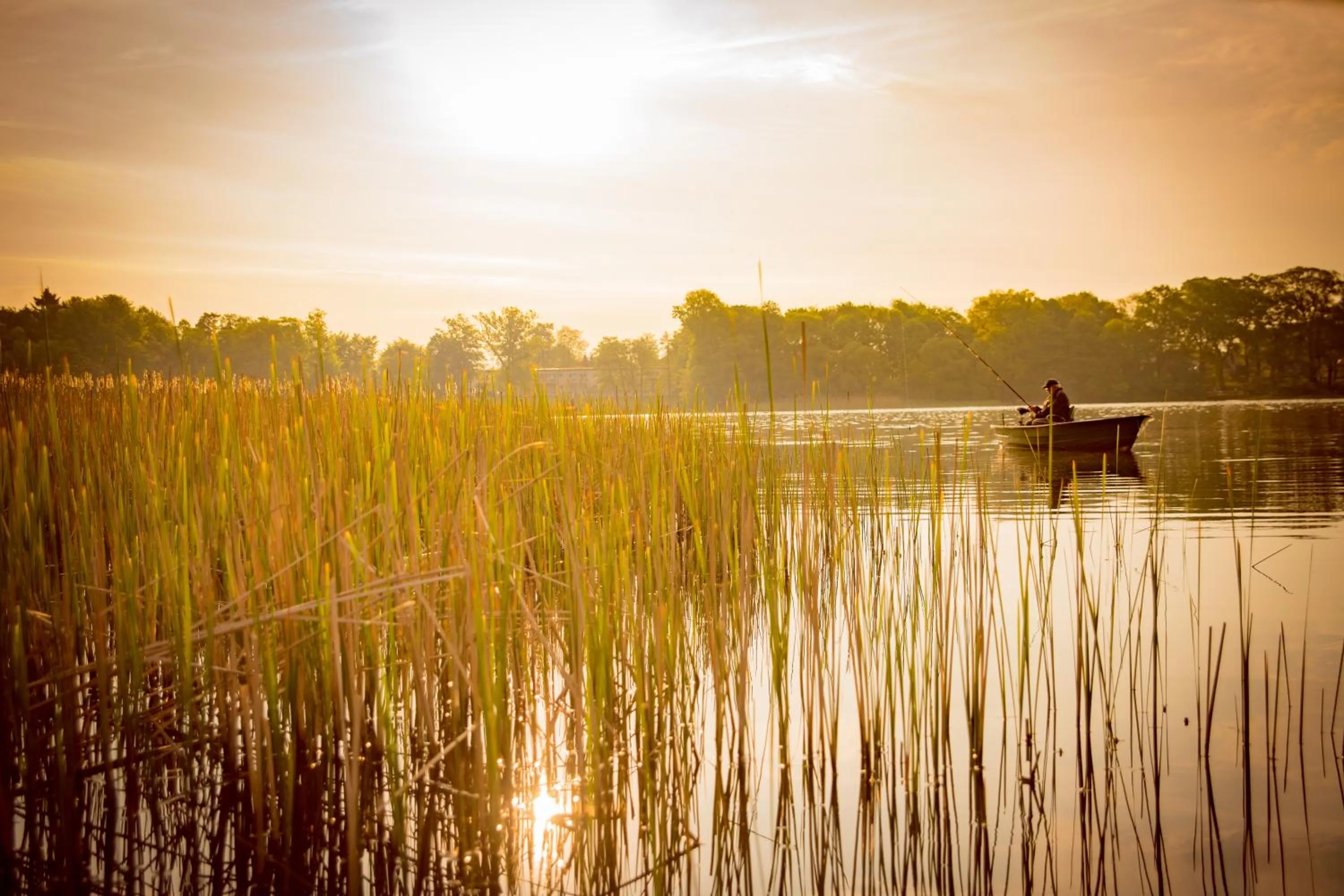 Natural landscape in Hotel & Restaurant Waldschlösschen