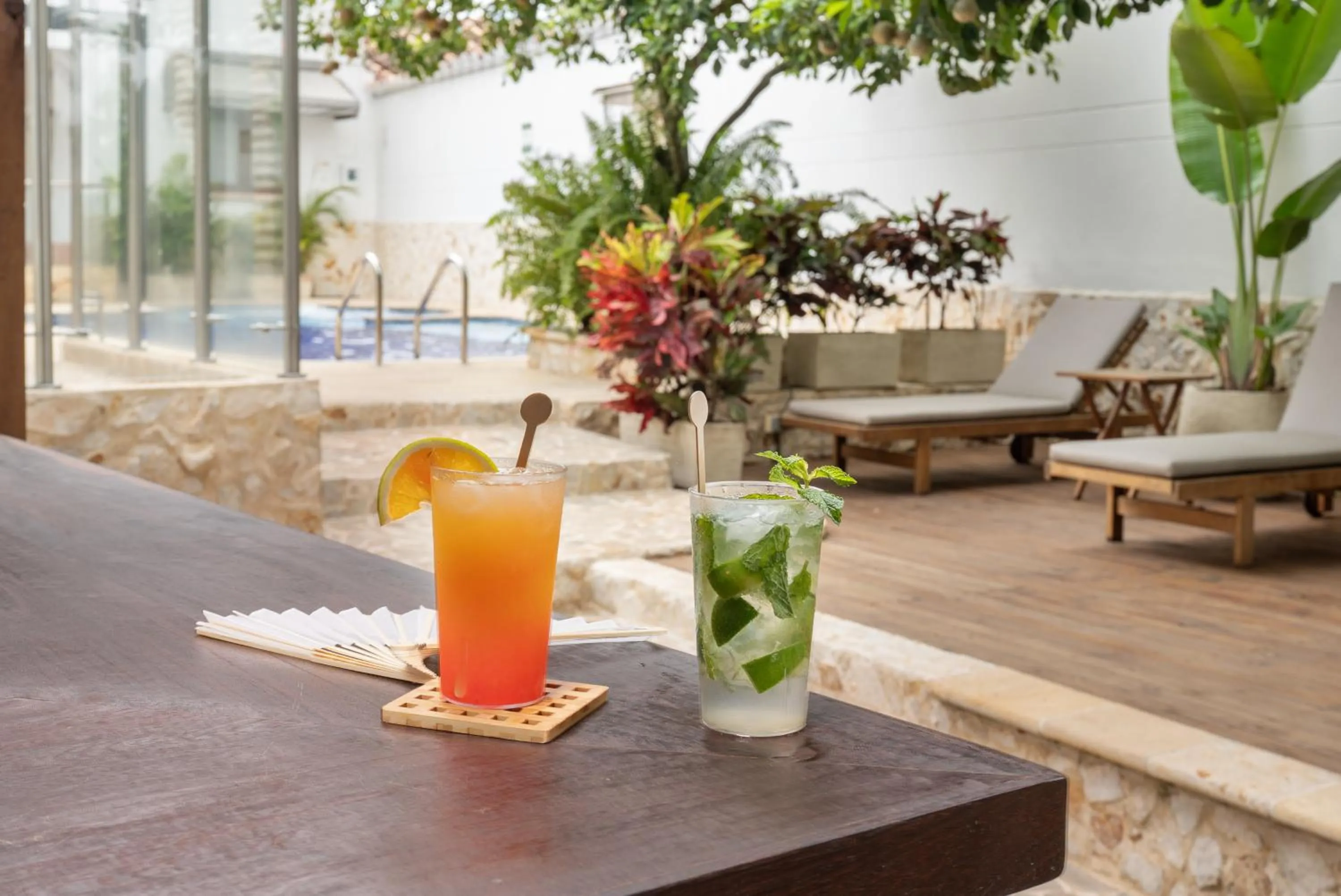 Drinks in Casa Bixa Hotel Boutique -Santa Fe de Antioquia- Mayores de 12 años