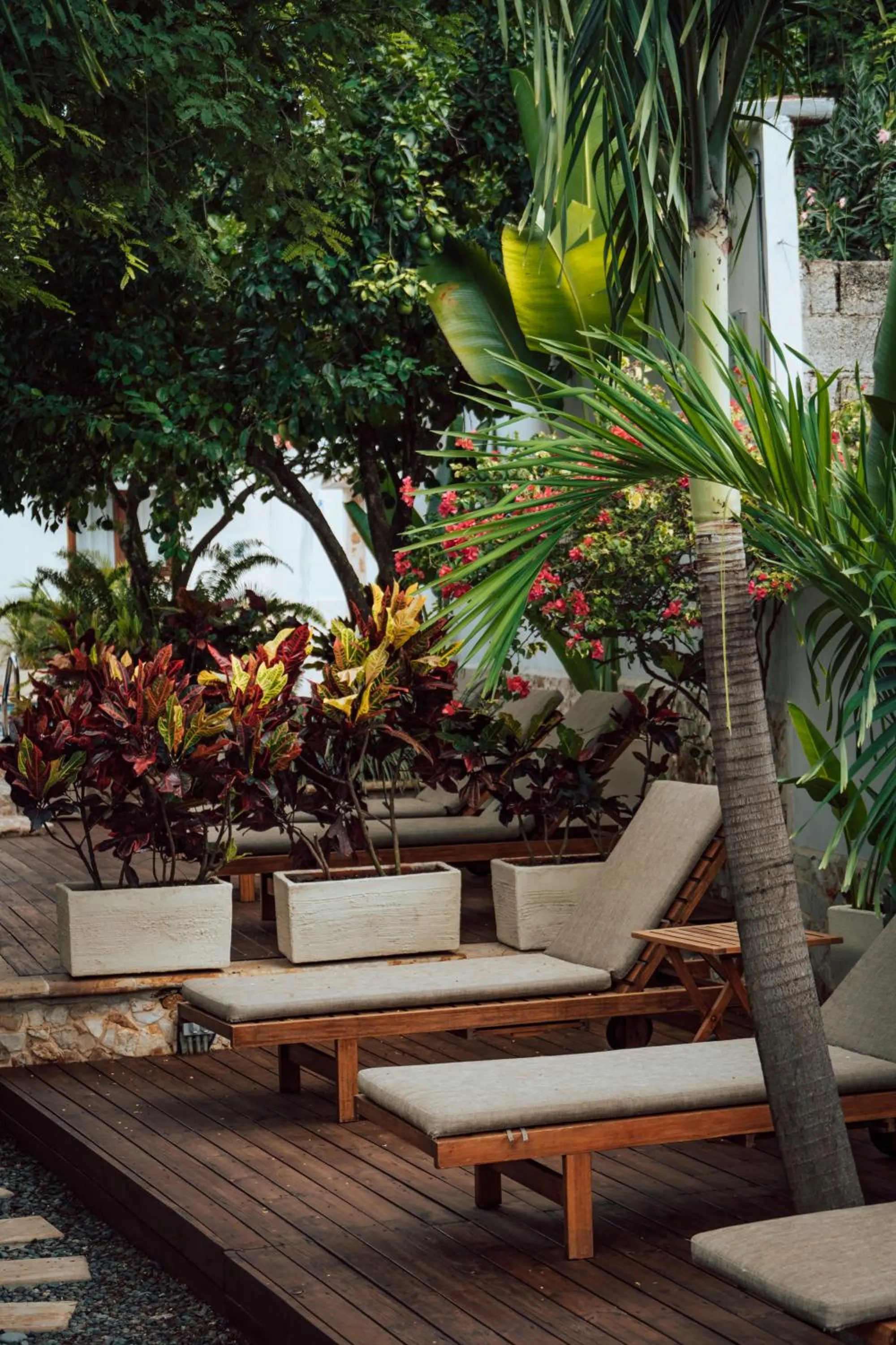 Area and facilities in Casa Bixa Hotel Boutique - Solo Adultos