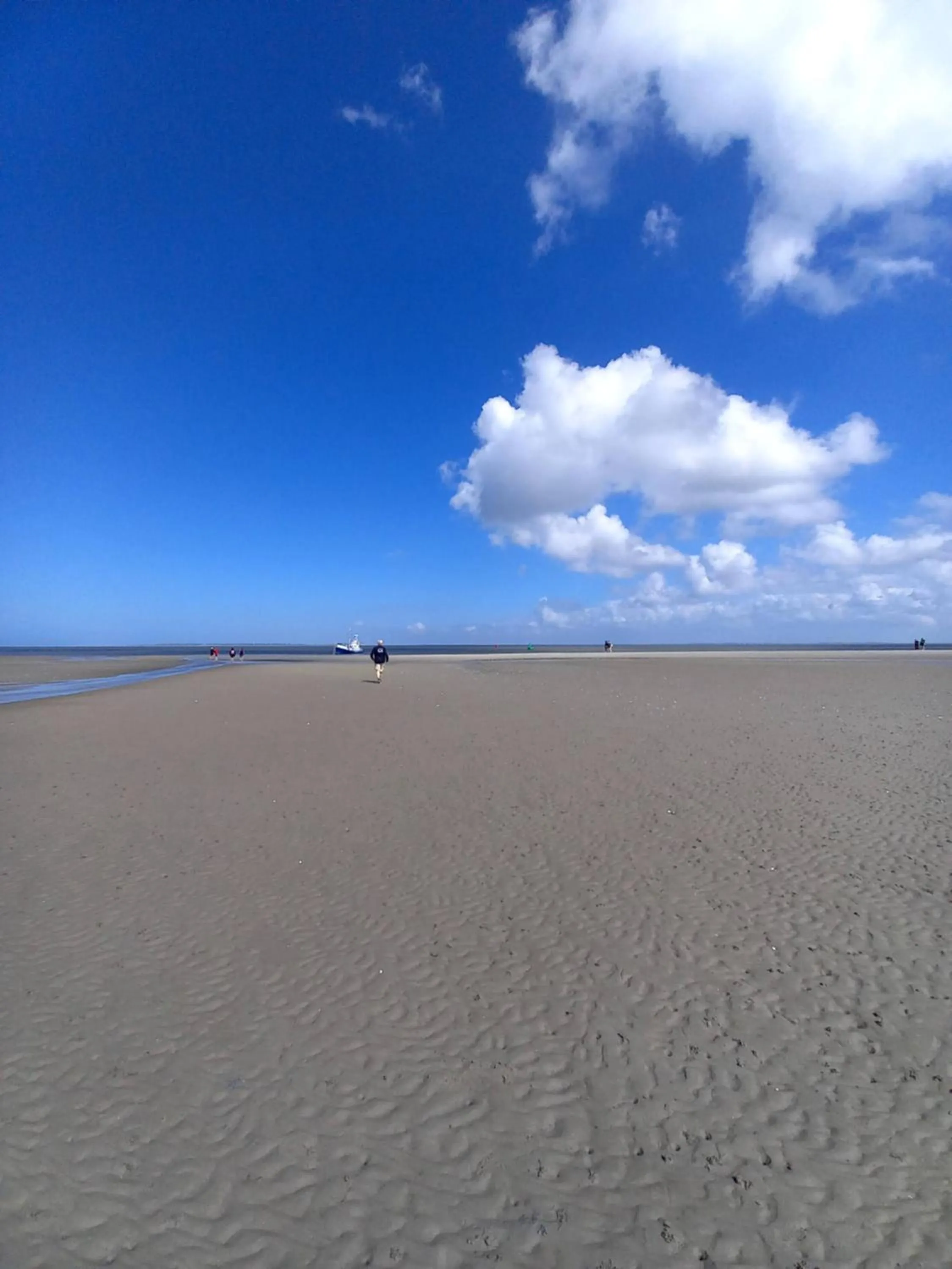 Natural landscape in BnB-Heirhuys