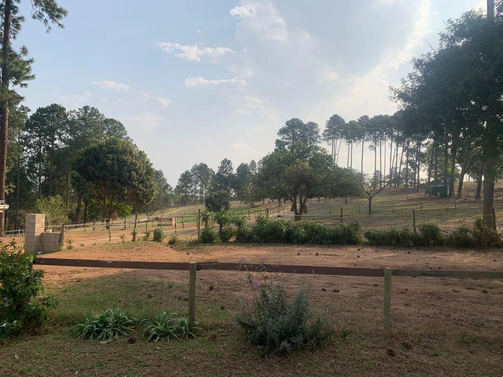 Garden in Ollivanders Estate