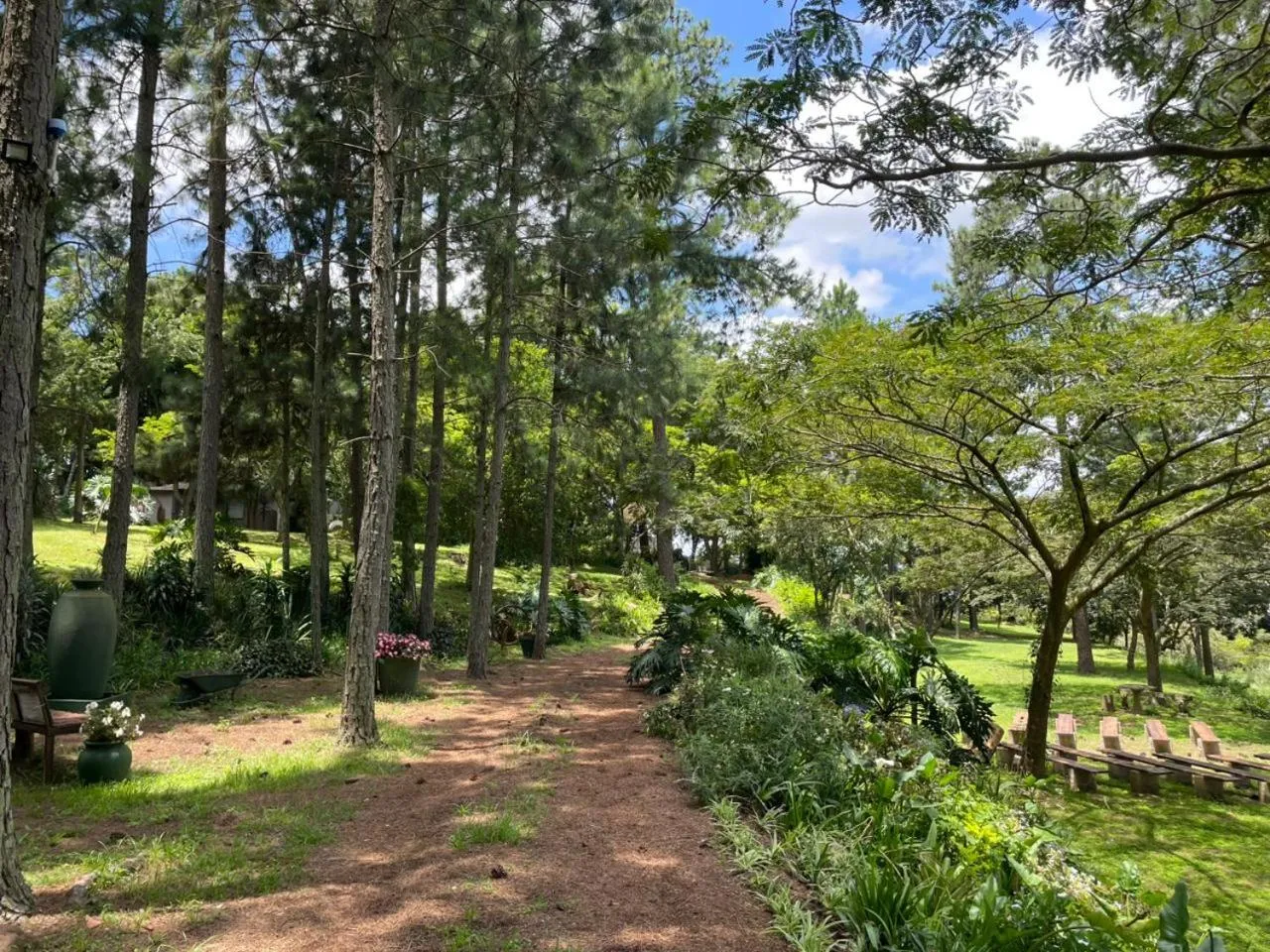 Garden in Ollivanders Estate