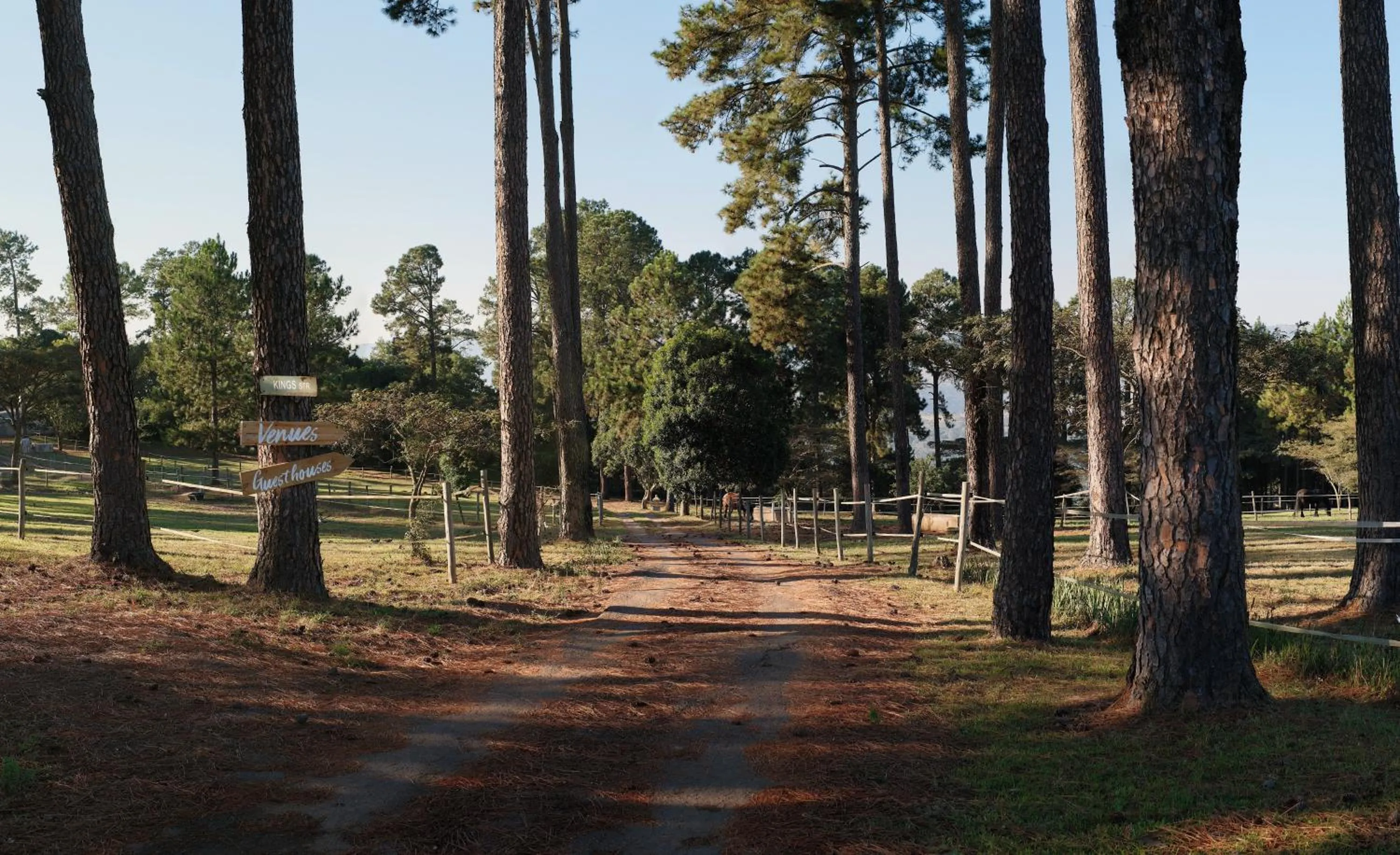 Garden in Ollivanders Estate