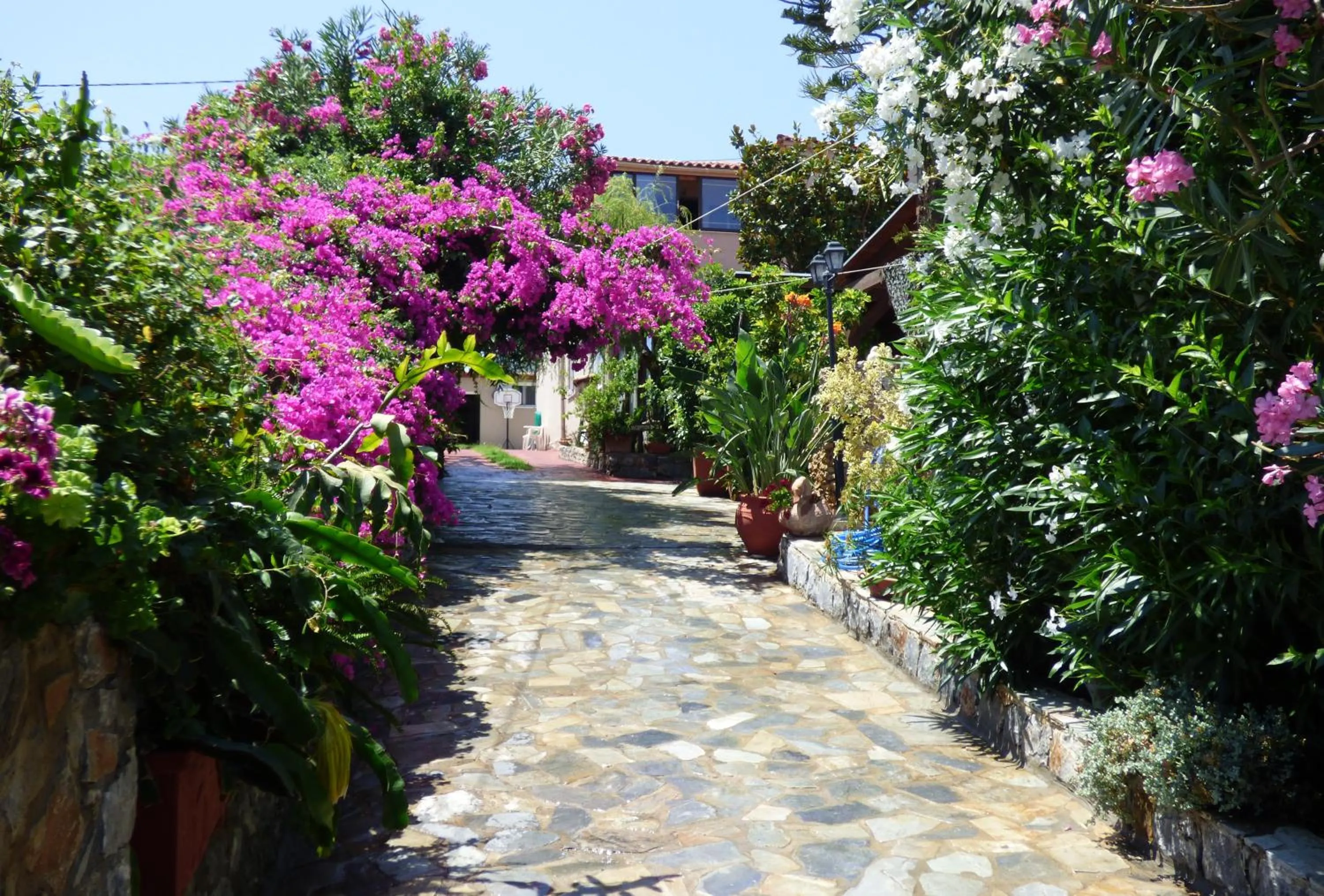 Garden in Poledas Apartments