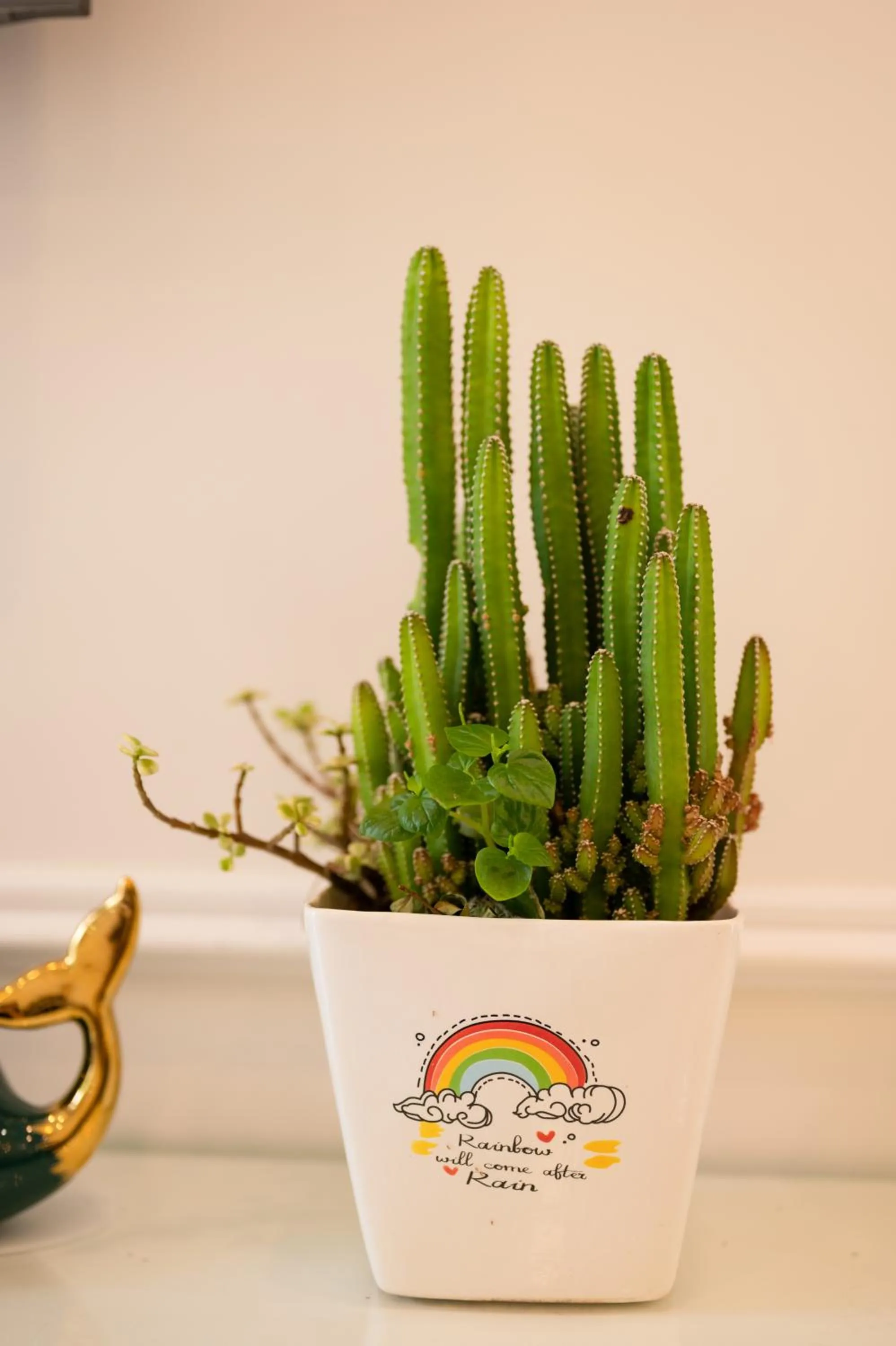 Property building in The View Hotel