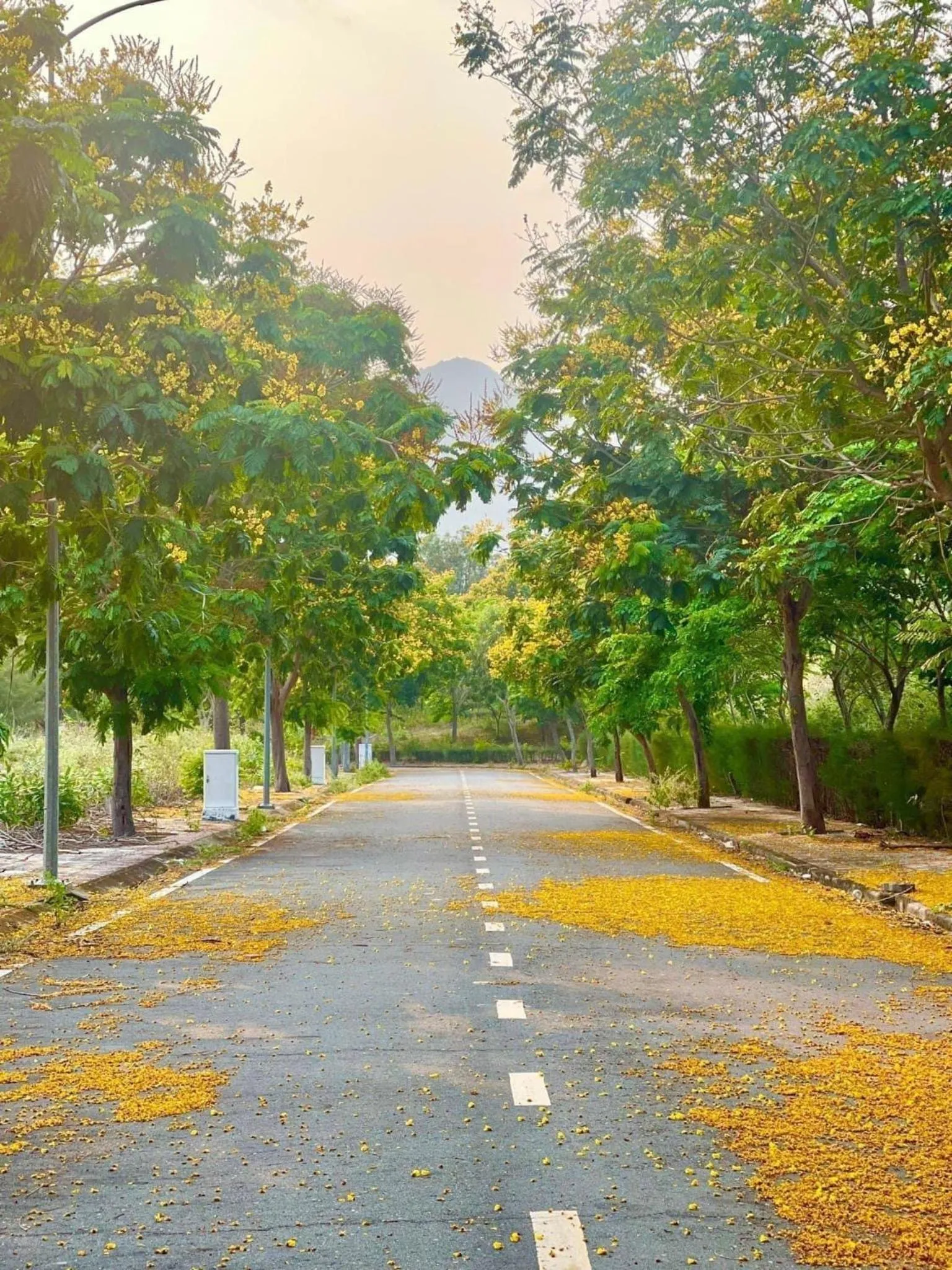 Neighbourhood in The View Hotel