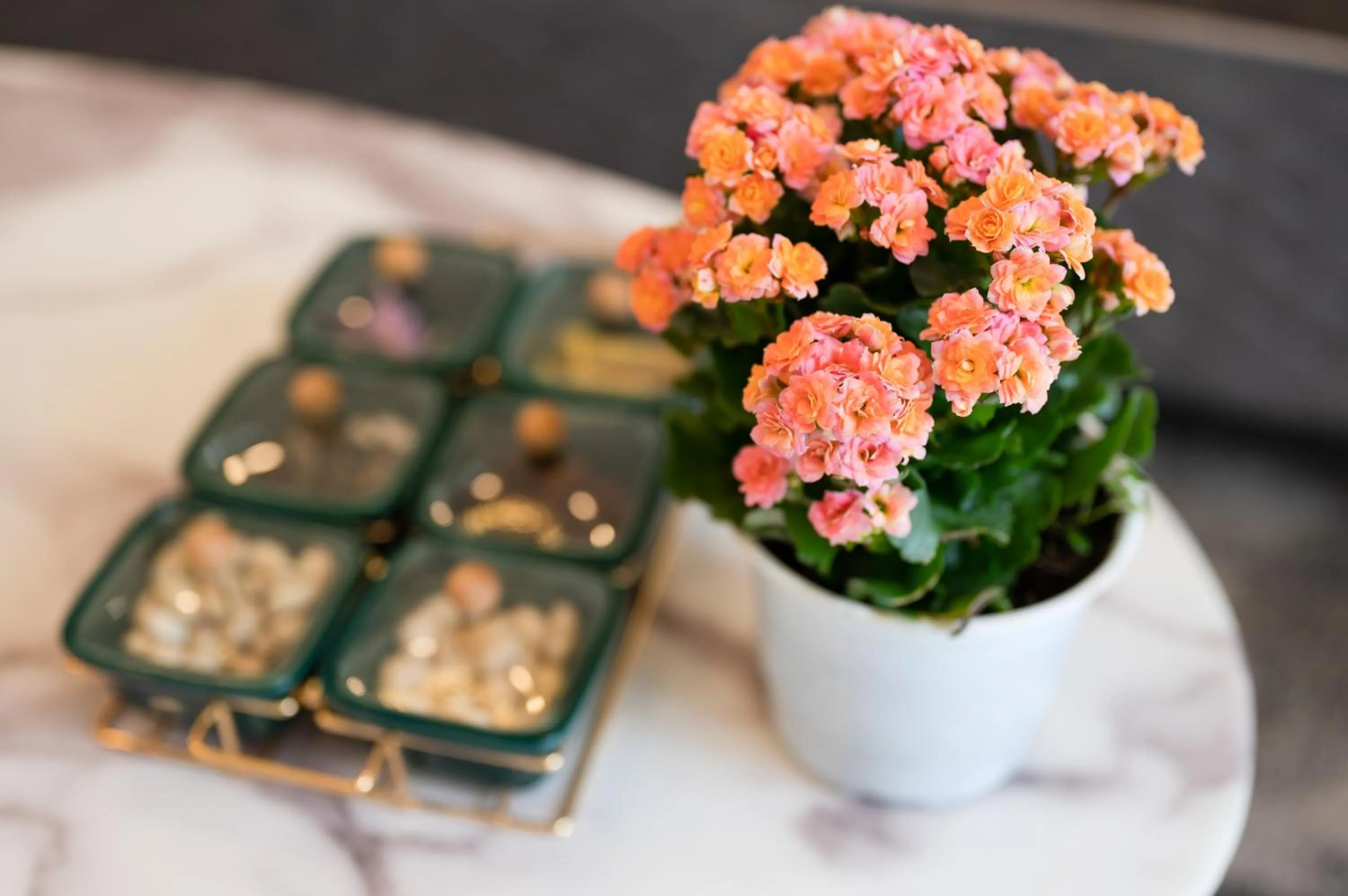 Property building in The View Hotel