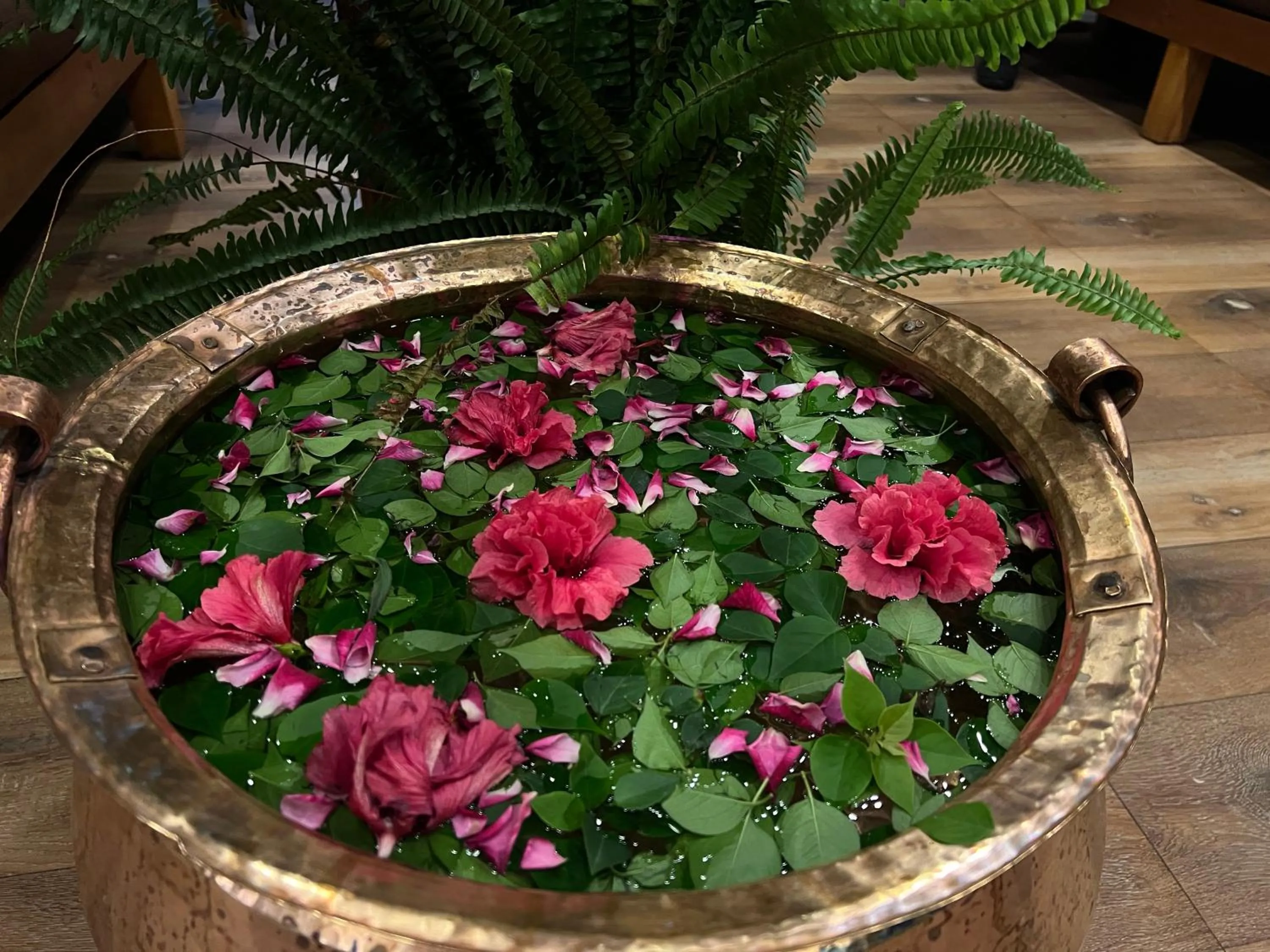 Hotel Middle Point Pvt Ltd