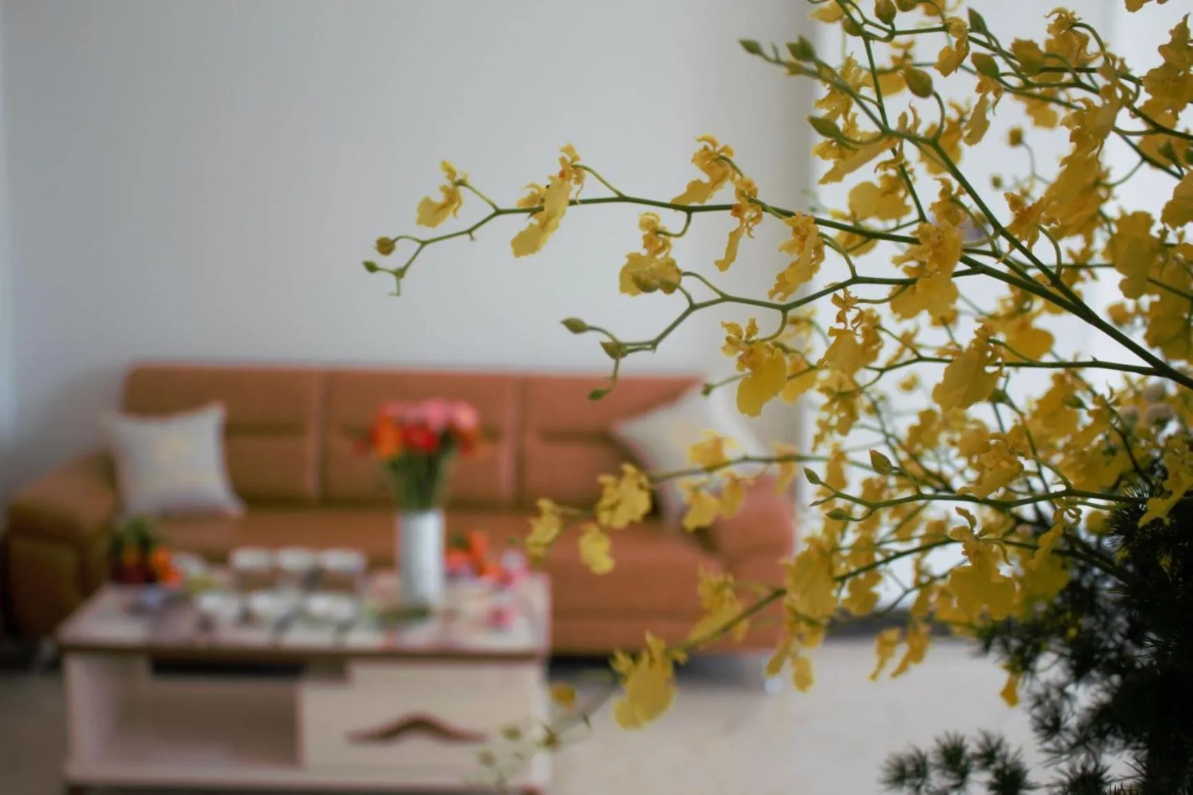 Other in Napoly Hotel