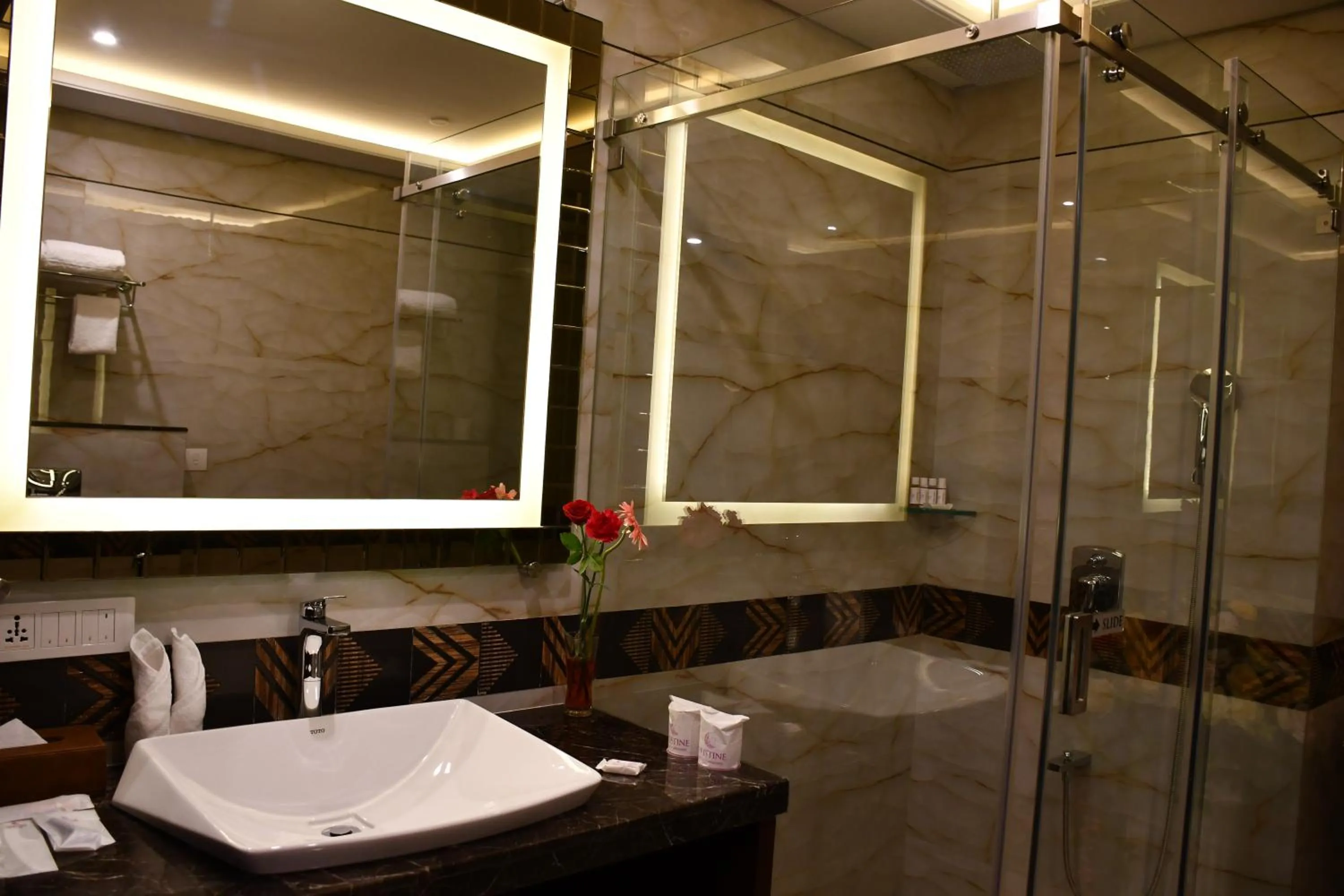Bathroom in Pristine Hotel, Varanasi