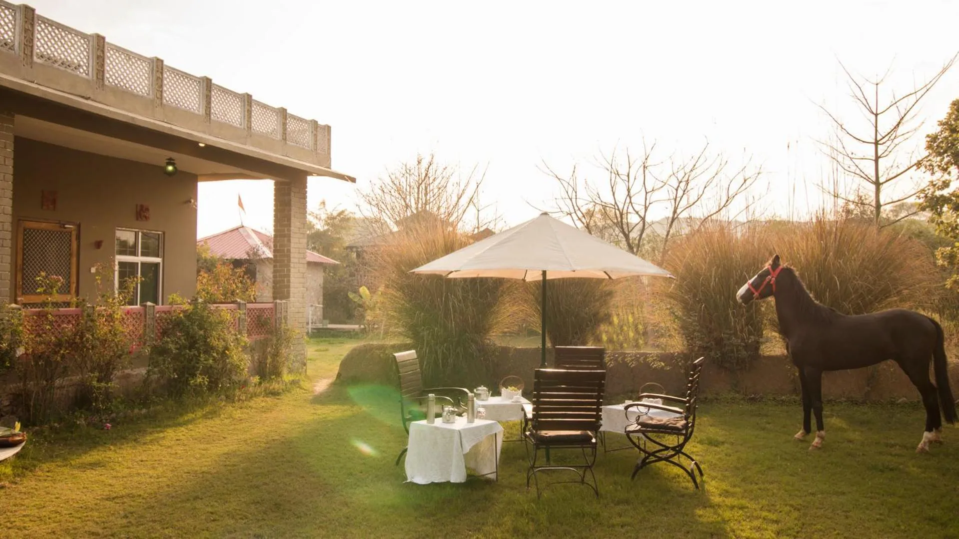 Natural landscape in Maa Ashapura Resort