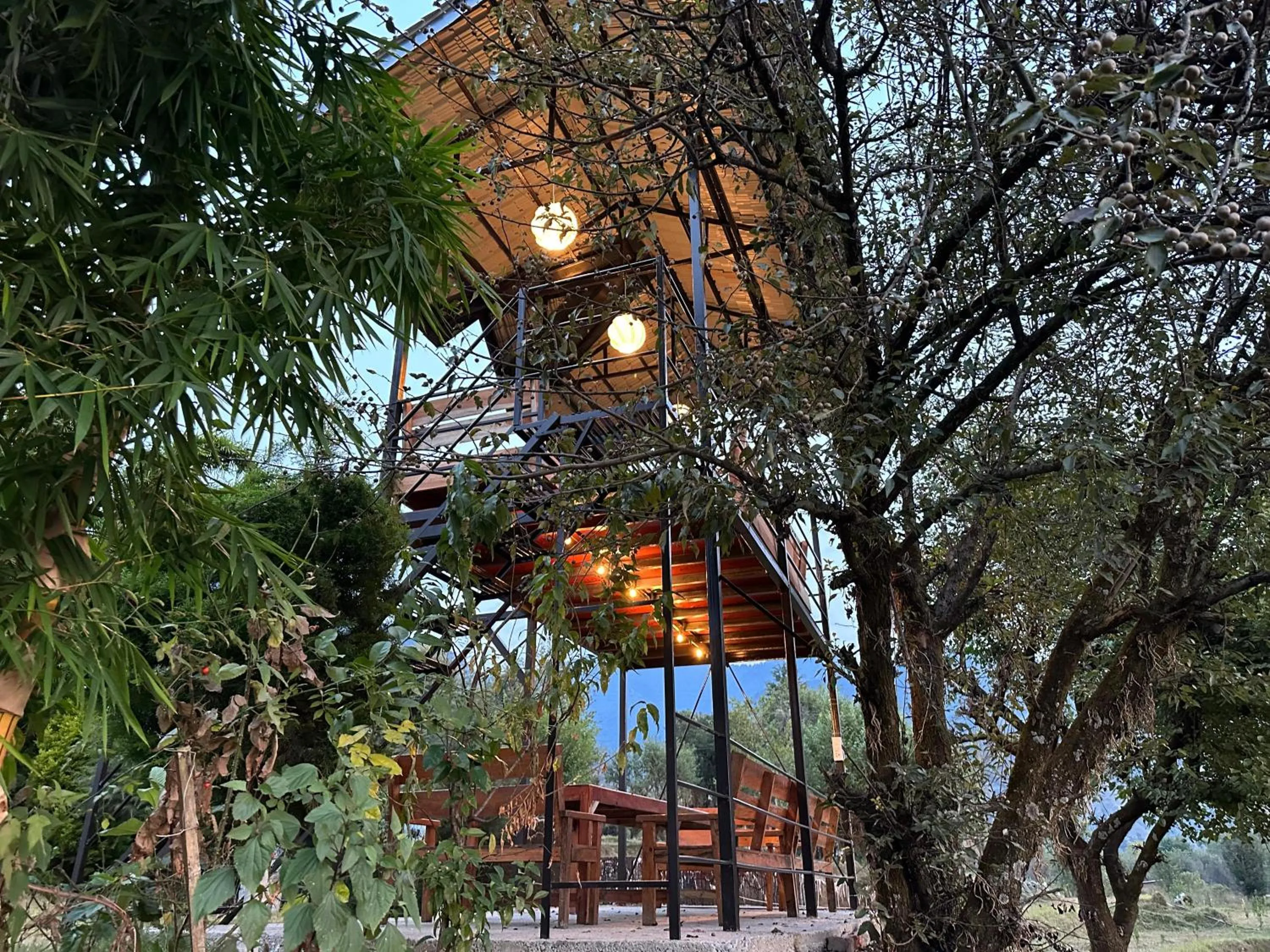 Garden in The Billing Health Resort