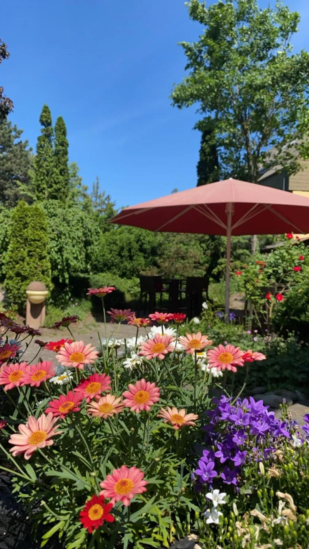 Garden in Landhaus Alpinia