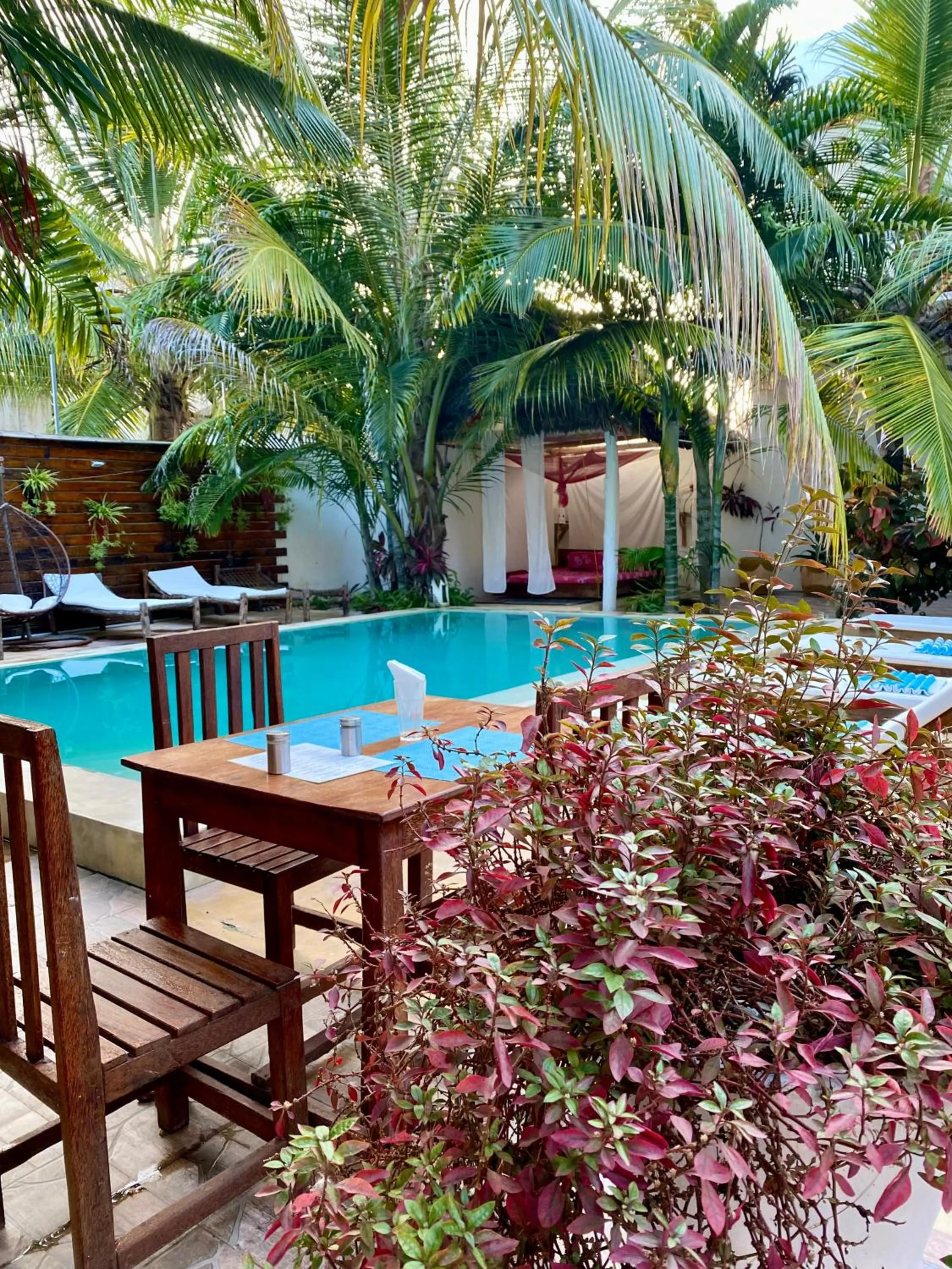 Day in Reyna Resort By Cezere The Palm