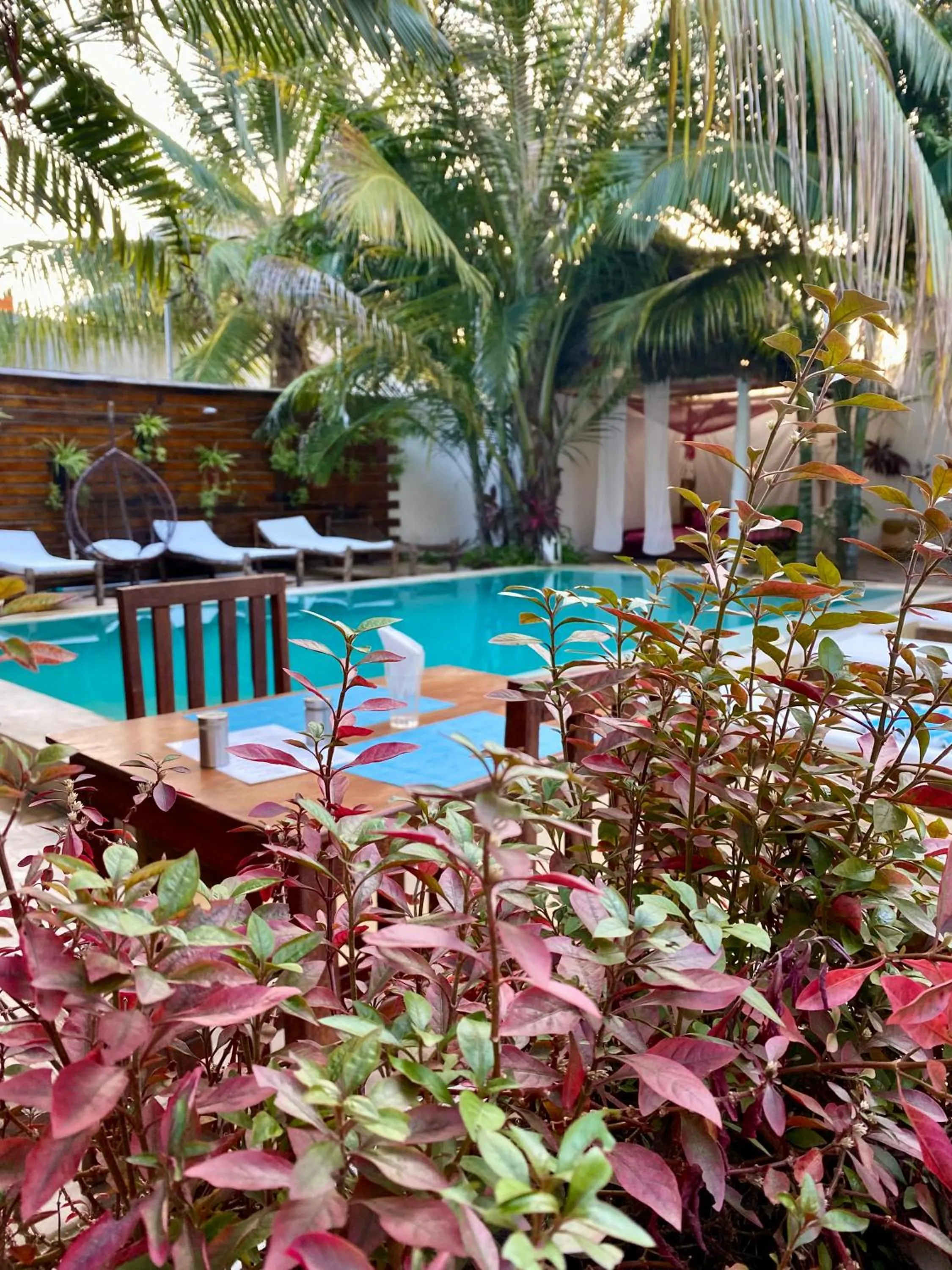 Day in Reyna Resort By Cezere The Palm