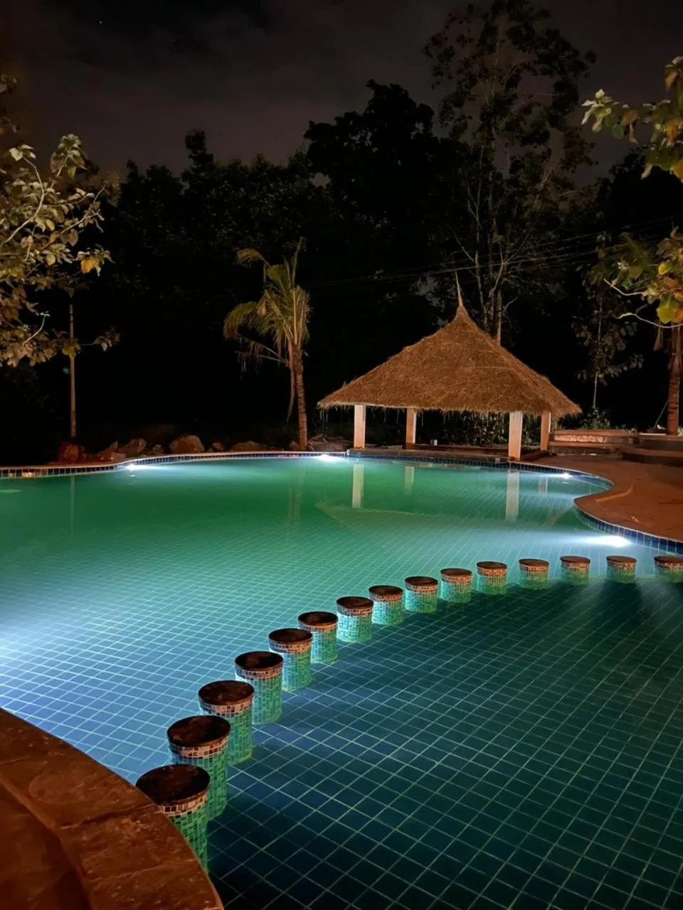 Pool view in The Pench International