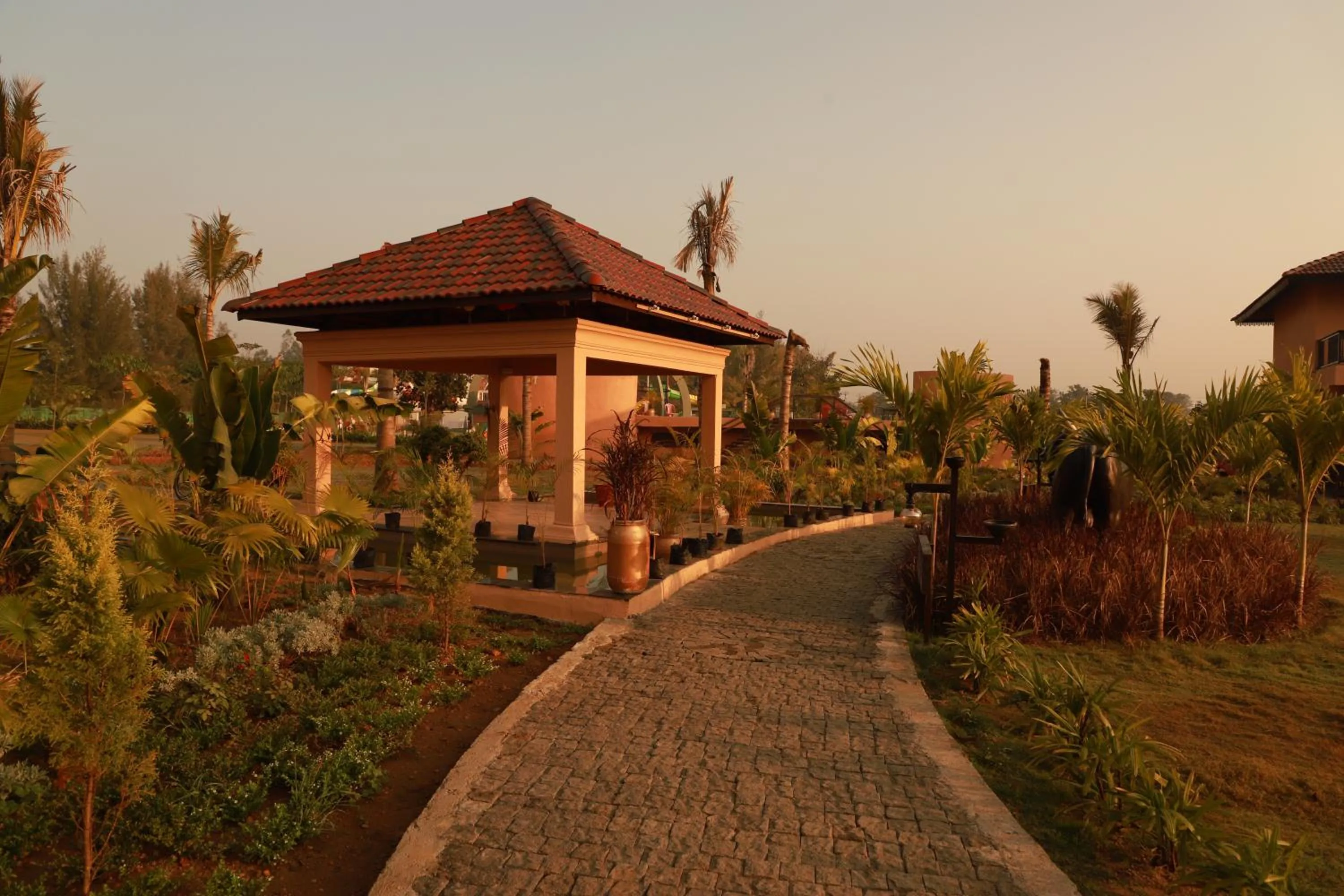 The Pench International